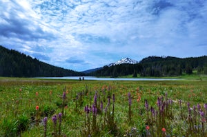 Camp at Todd Lake