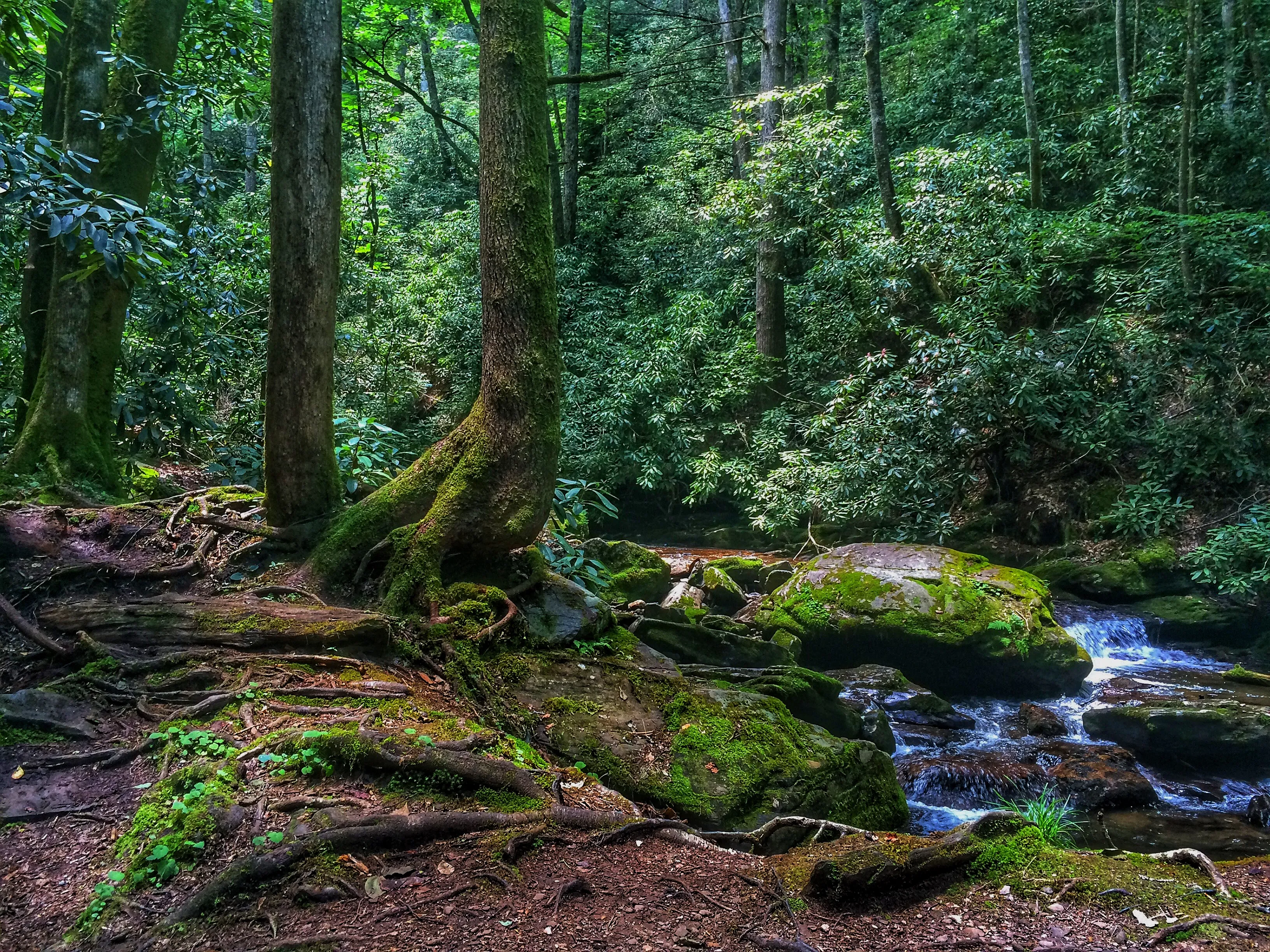 Blue Hole and High Shoals Creek Falls