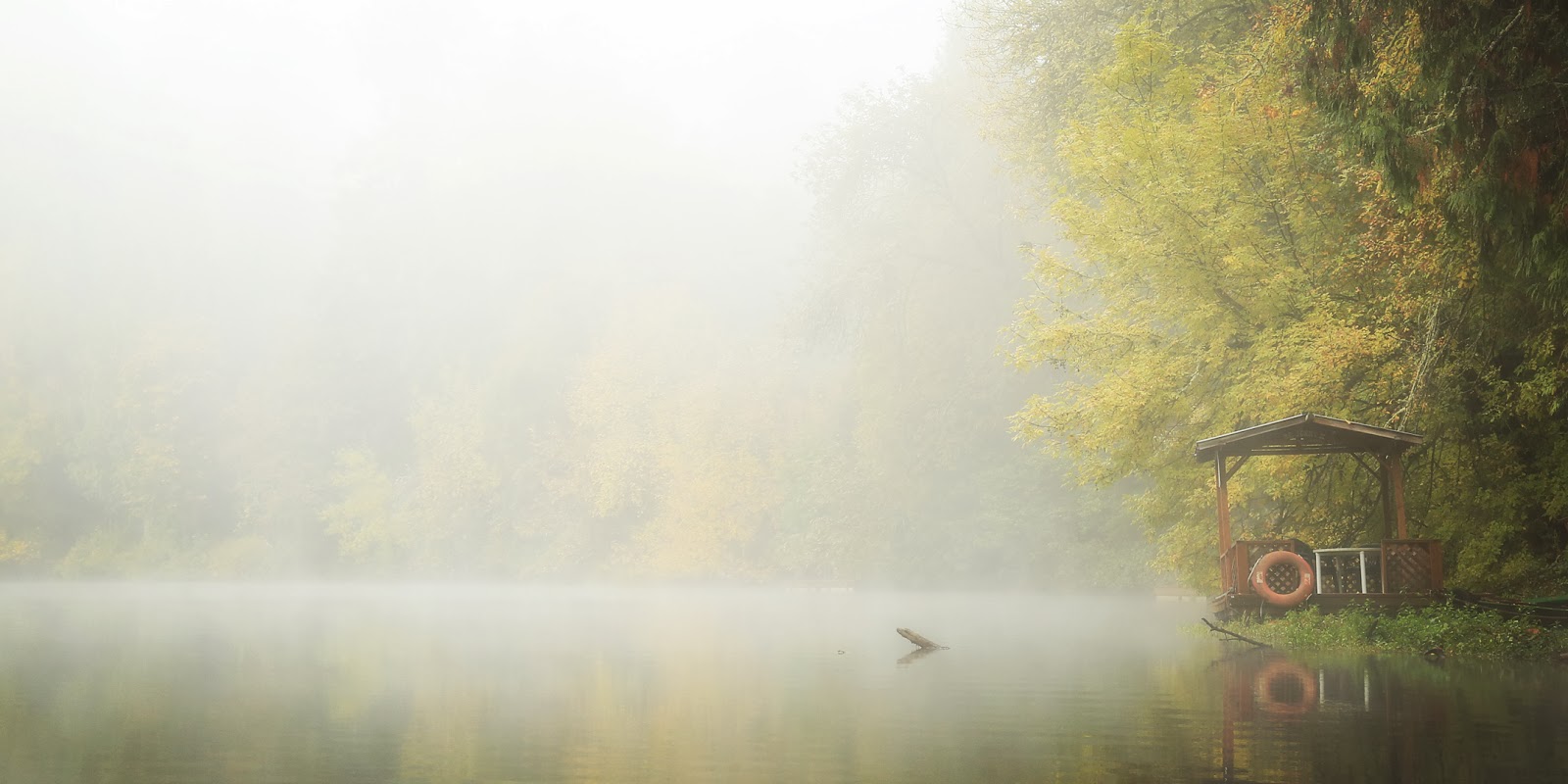 Kayaking the Lower Tualatin River