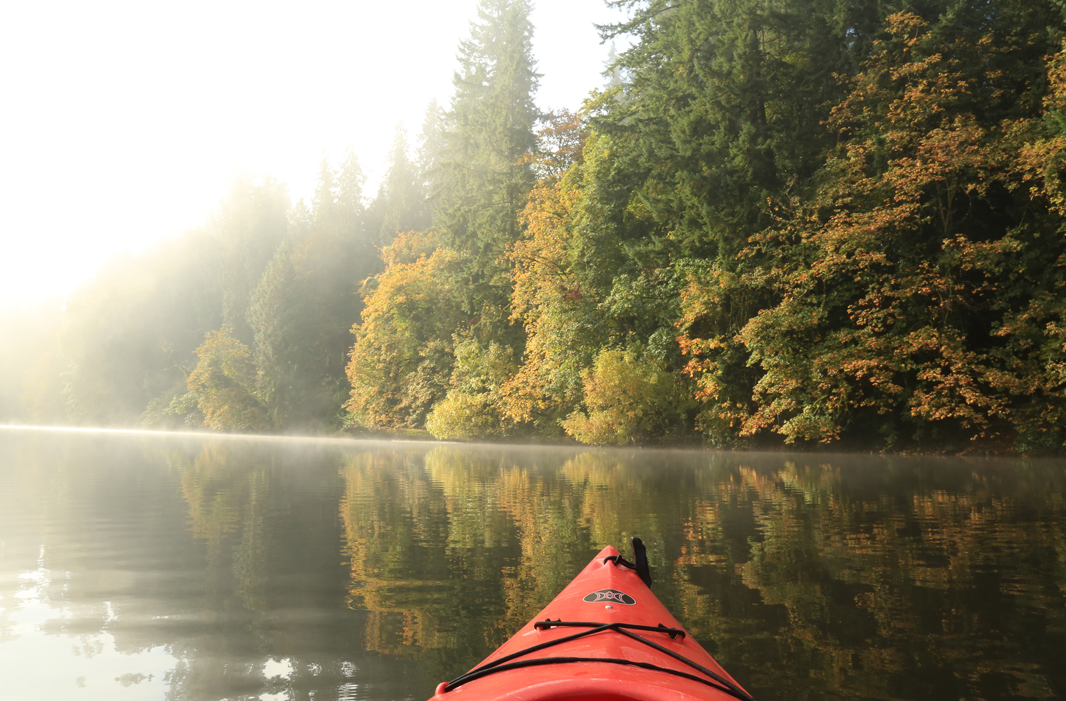 Kayaking the Lower Tualatin River