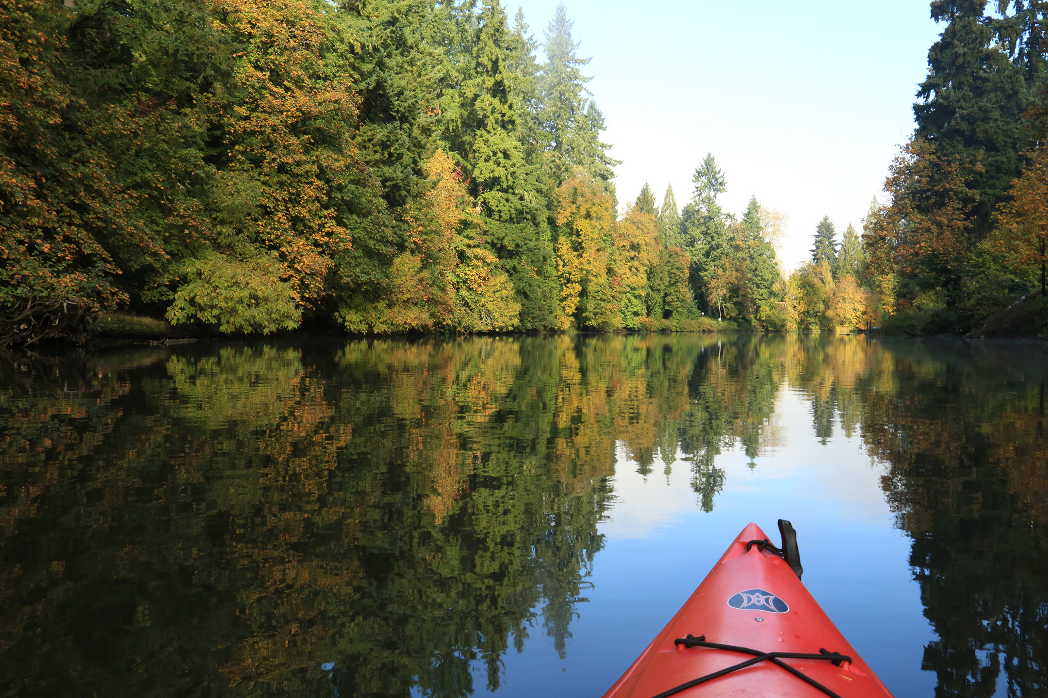 Kayaking the Lower Tualatin River