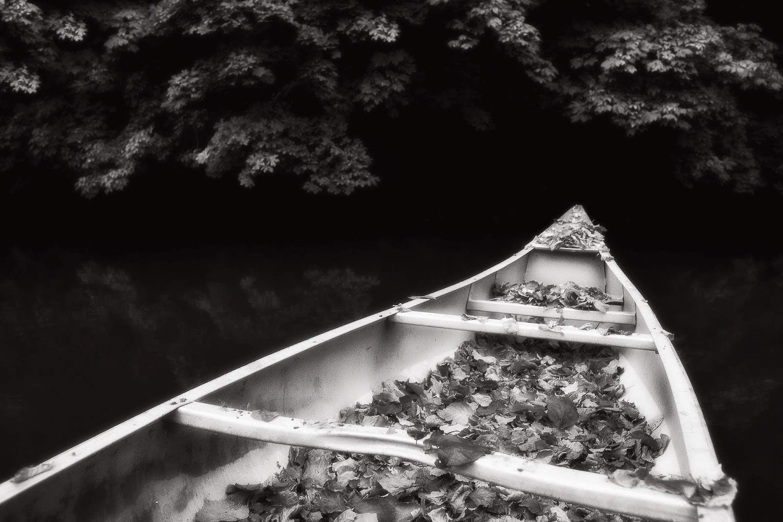 Kayaking the Lower Tualatin River