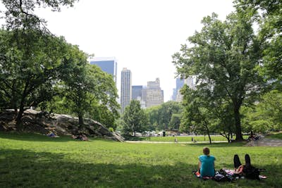 A Hot Summer Day in Central Park 