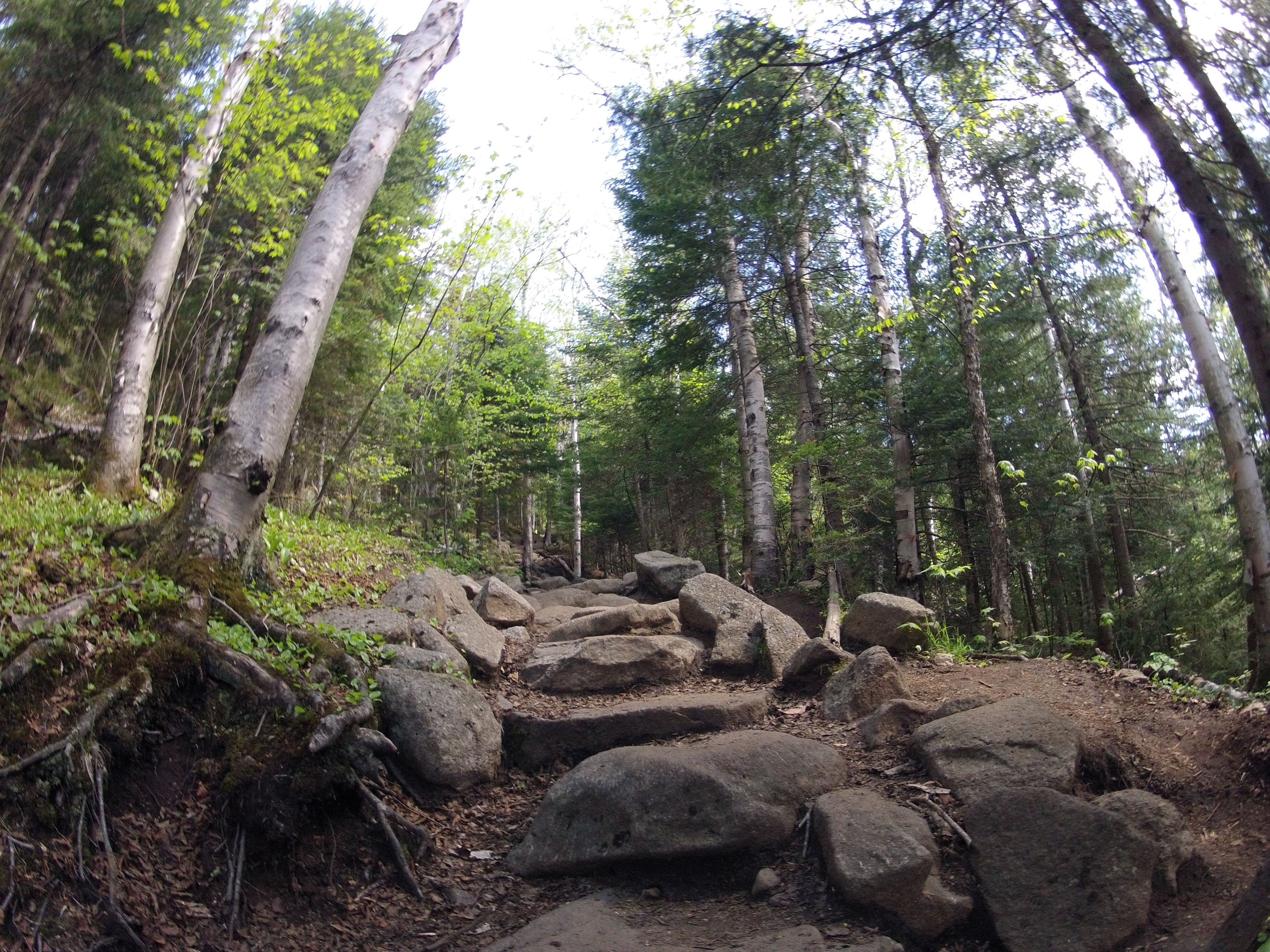 Hike Cascade and Porter Mountains