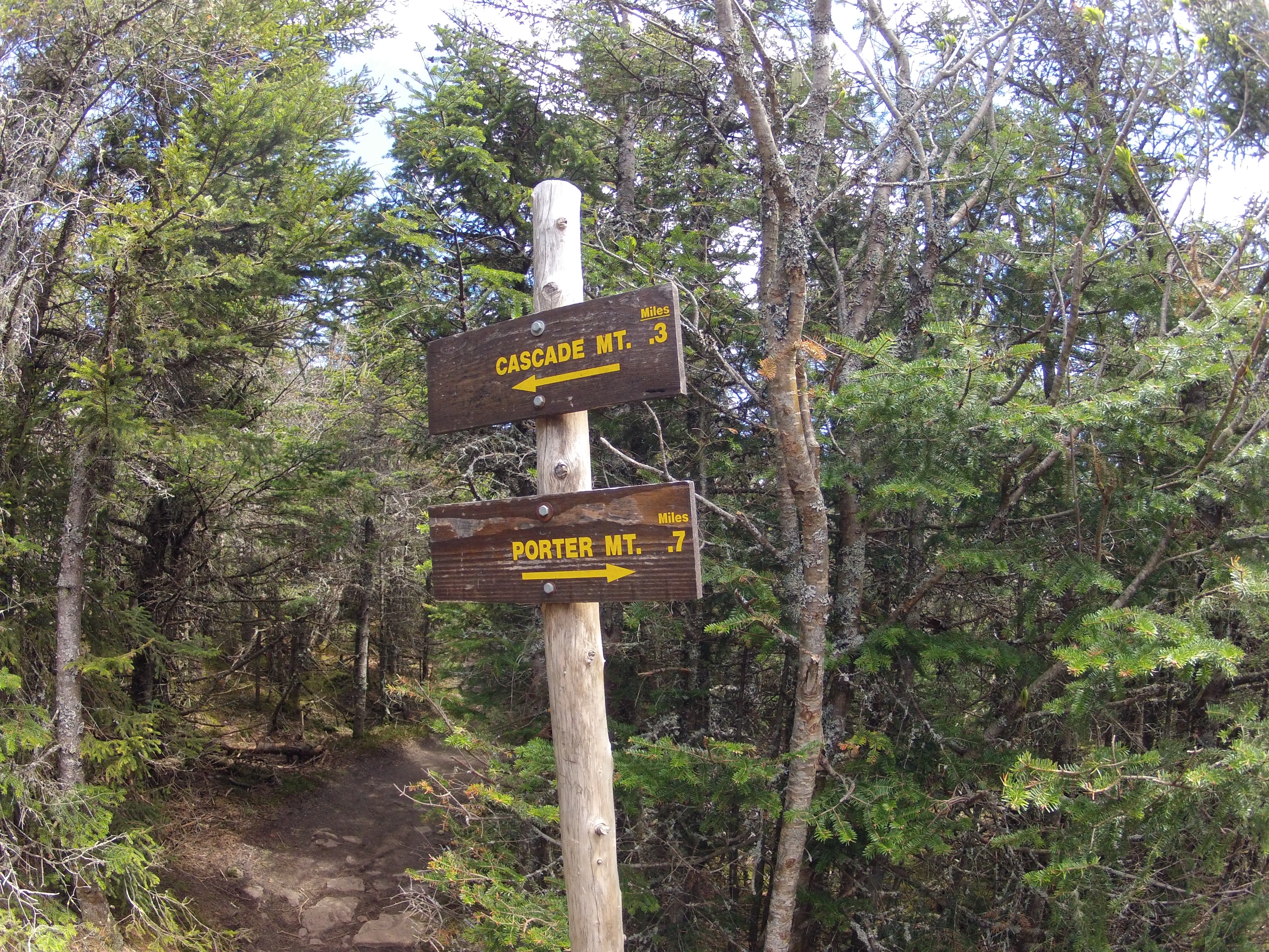 Hike Cascade and Porter Mountains