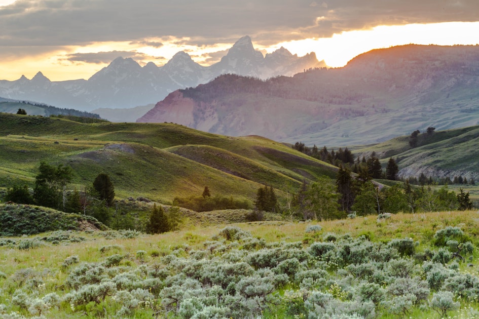 Camp in the Gros Ventre Wilderness, Jackson, Wyoming