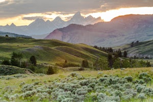 Camp in the Gros Ventre Wilderness