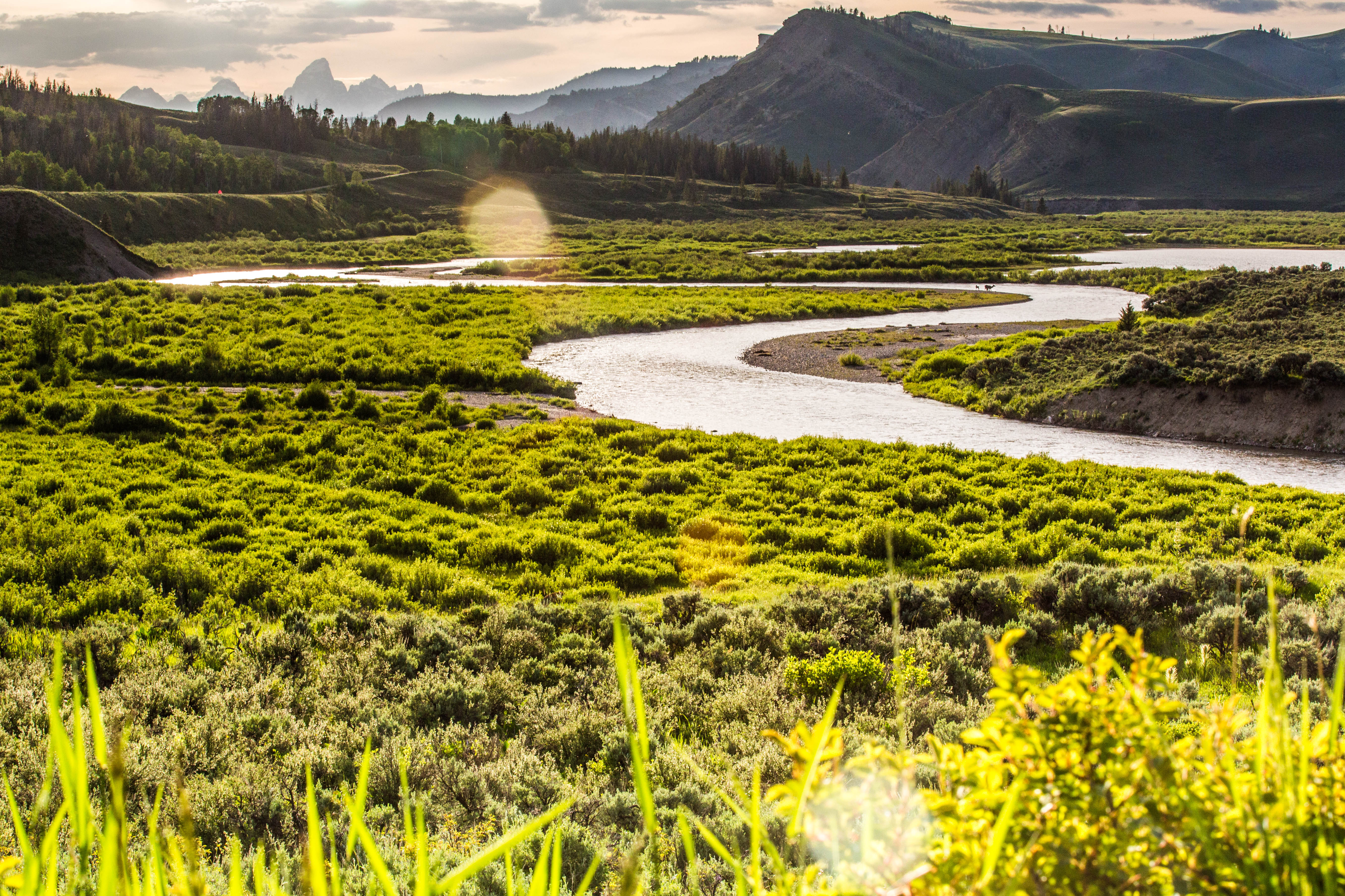 Camp in the Gros Ventre Wilderness
