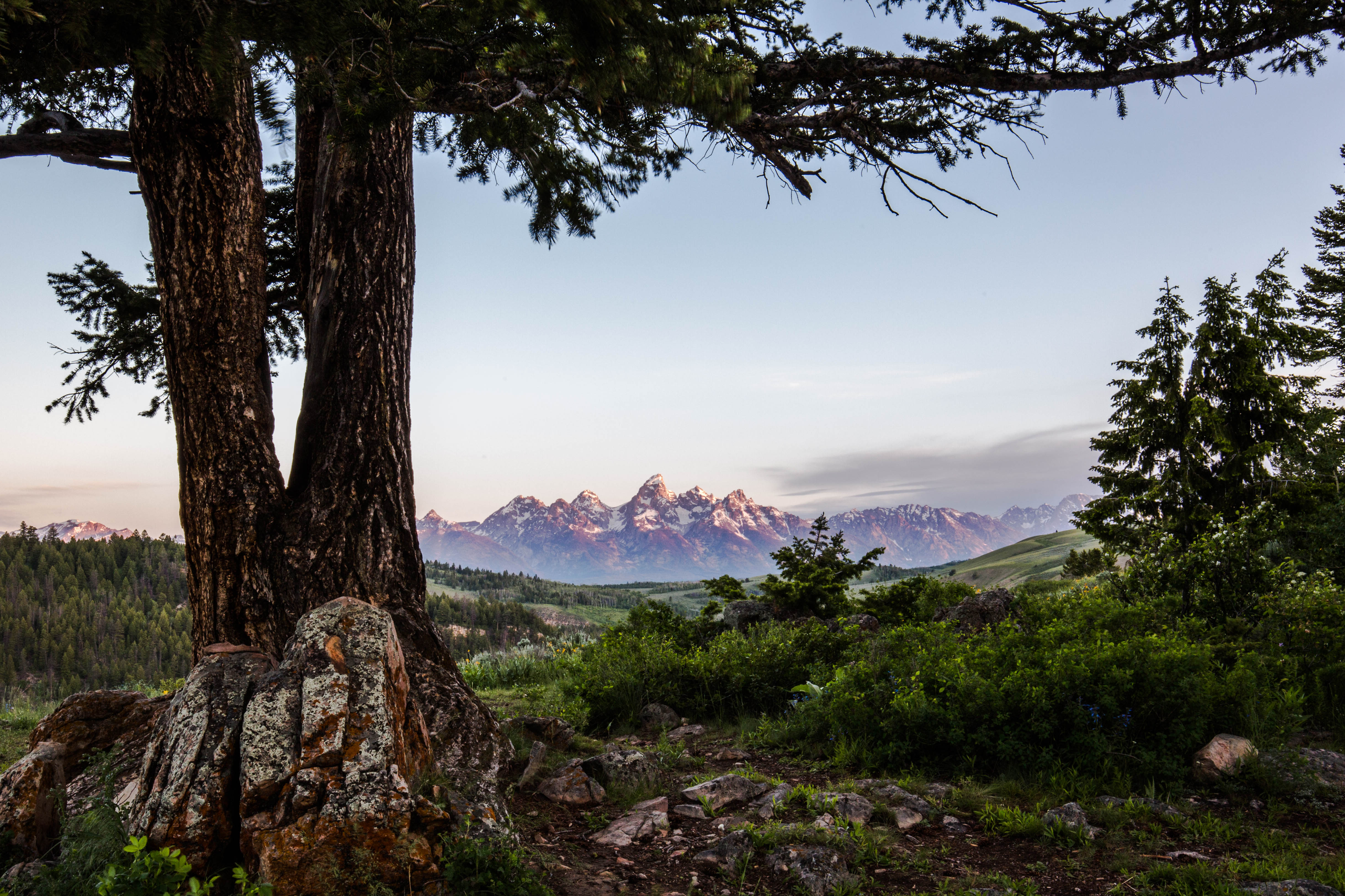 Camp in the Gros Ventre Wilderness