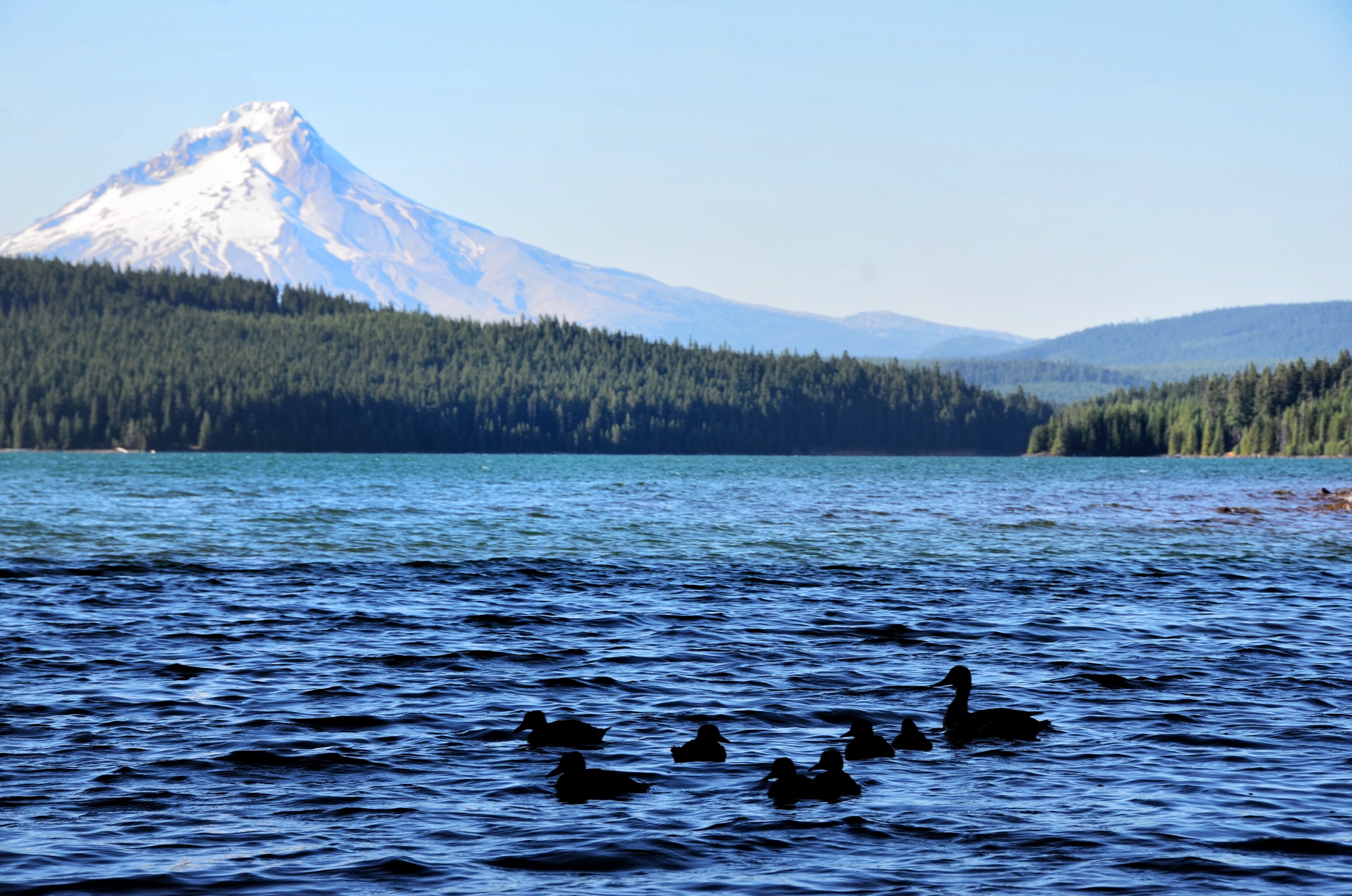 Camp at Timothy Lake