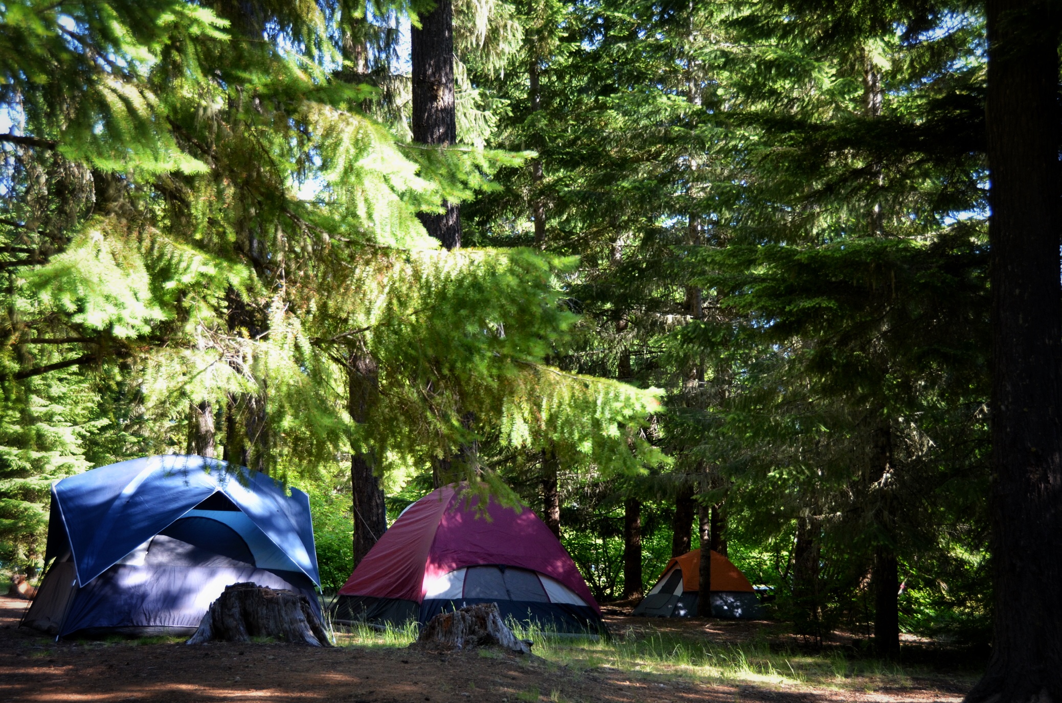 Camp at Timothy Lake