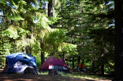 Camp at Timothy Lake