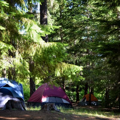 Camp at Timothy Lake