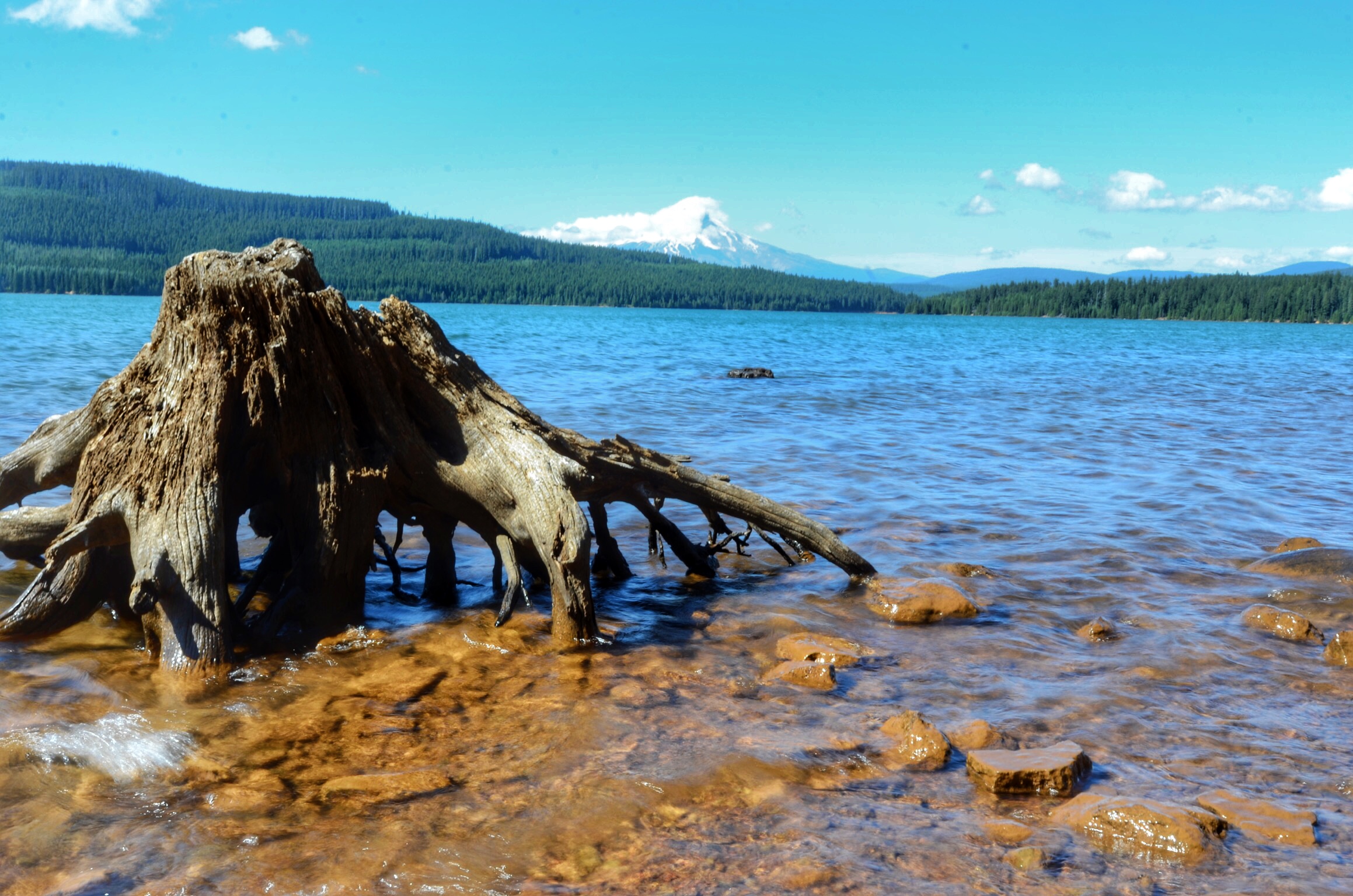 Camp at Timothy Lake