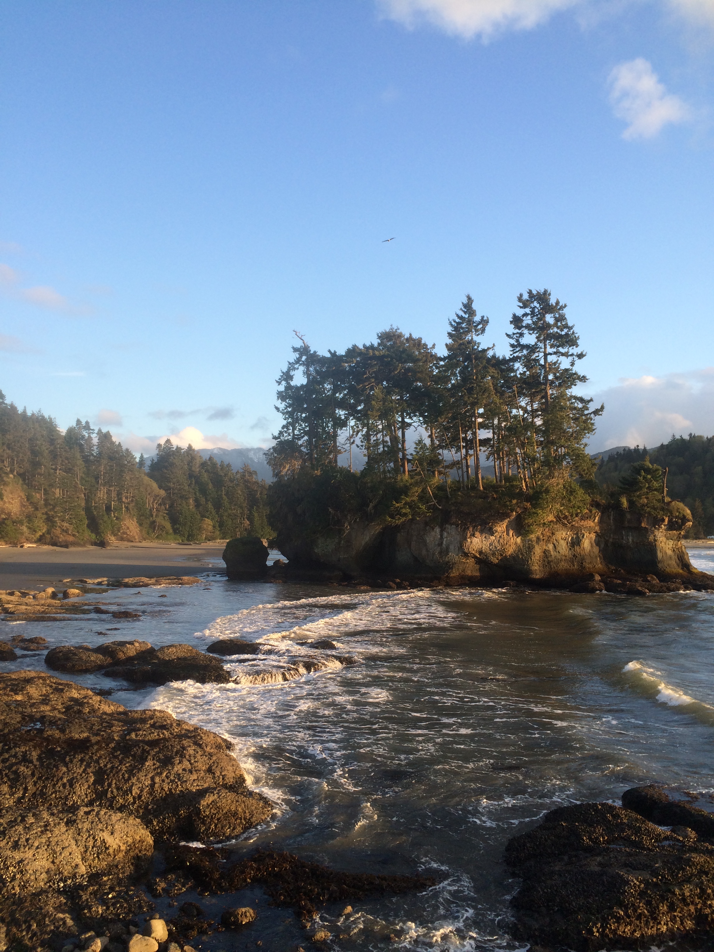 Camp at Salt Creek