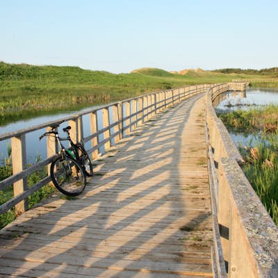 Bike Prince Edward Island's Gulf Shore Way West