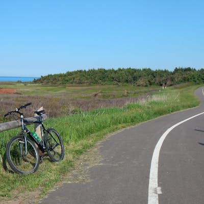 Bike Prince Edward Island's Gulf Shore Way West