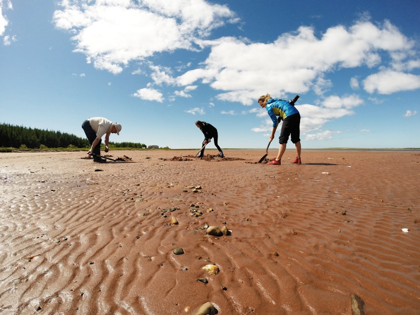 Dig for a Clam Dinner in PEI, Wellington, Prince Edward Island