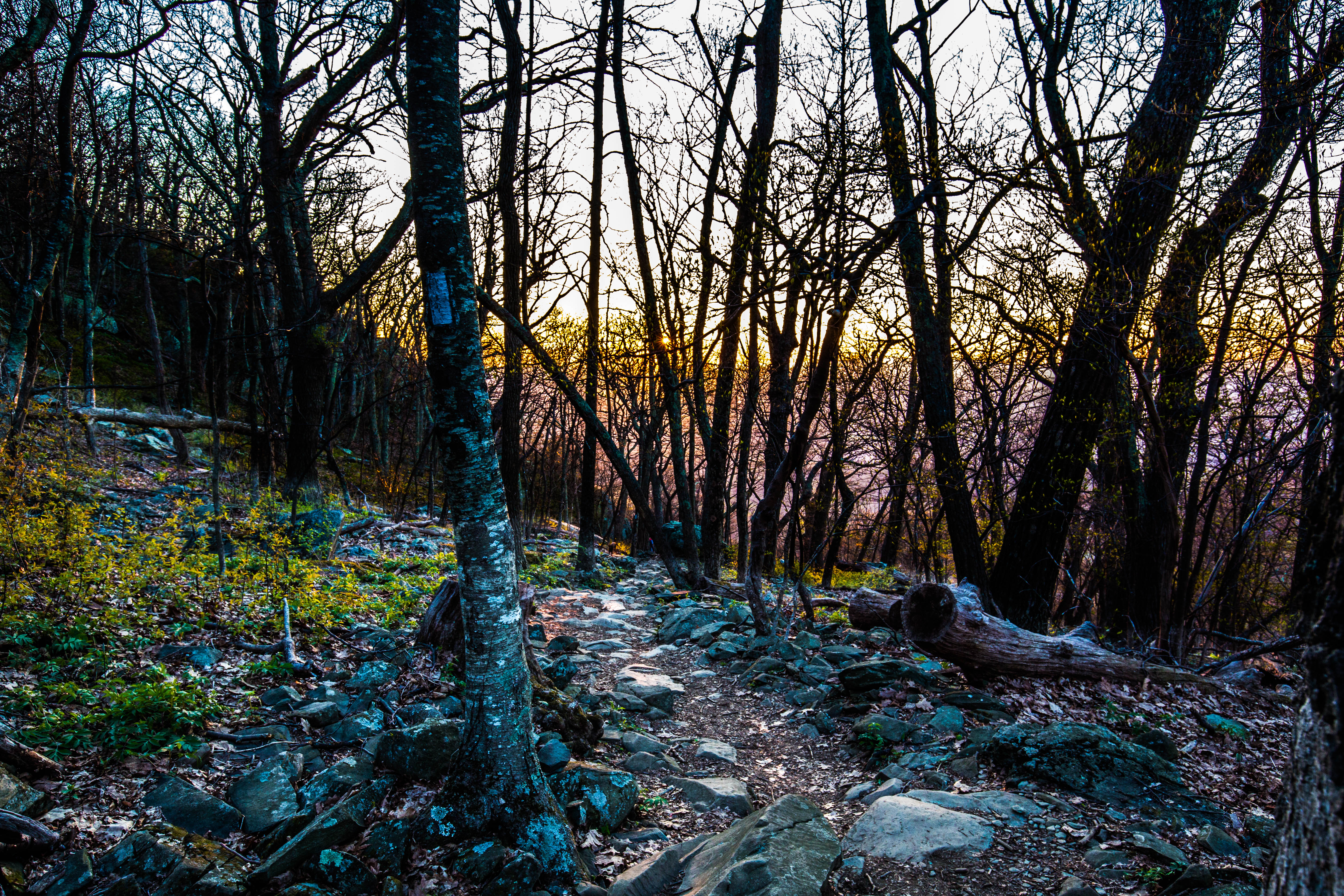 Humpback Rocks