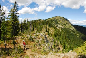 Summit Toad Mountain