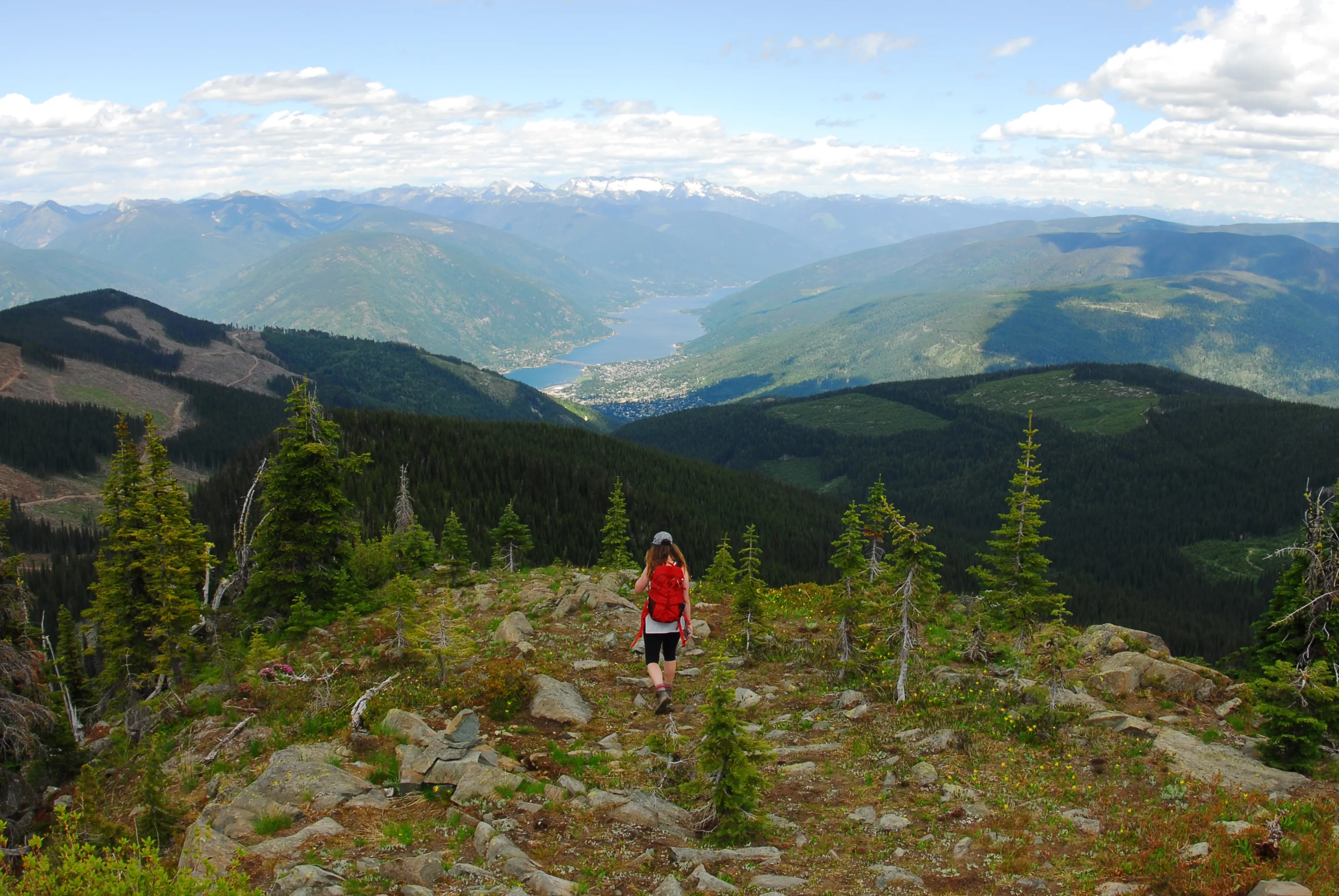 Summit Toad Mountain