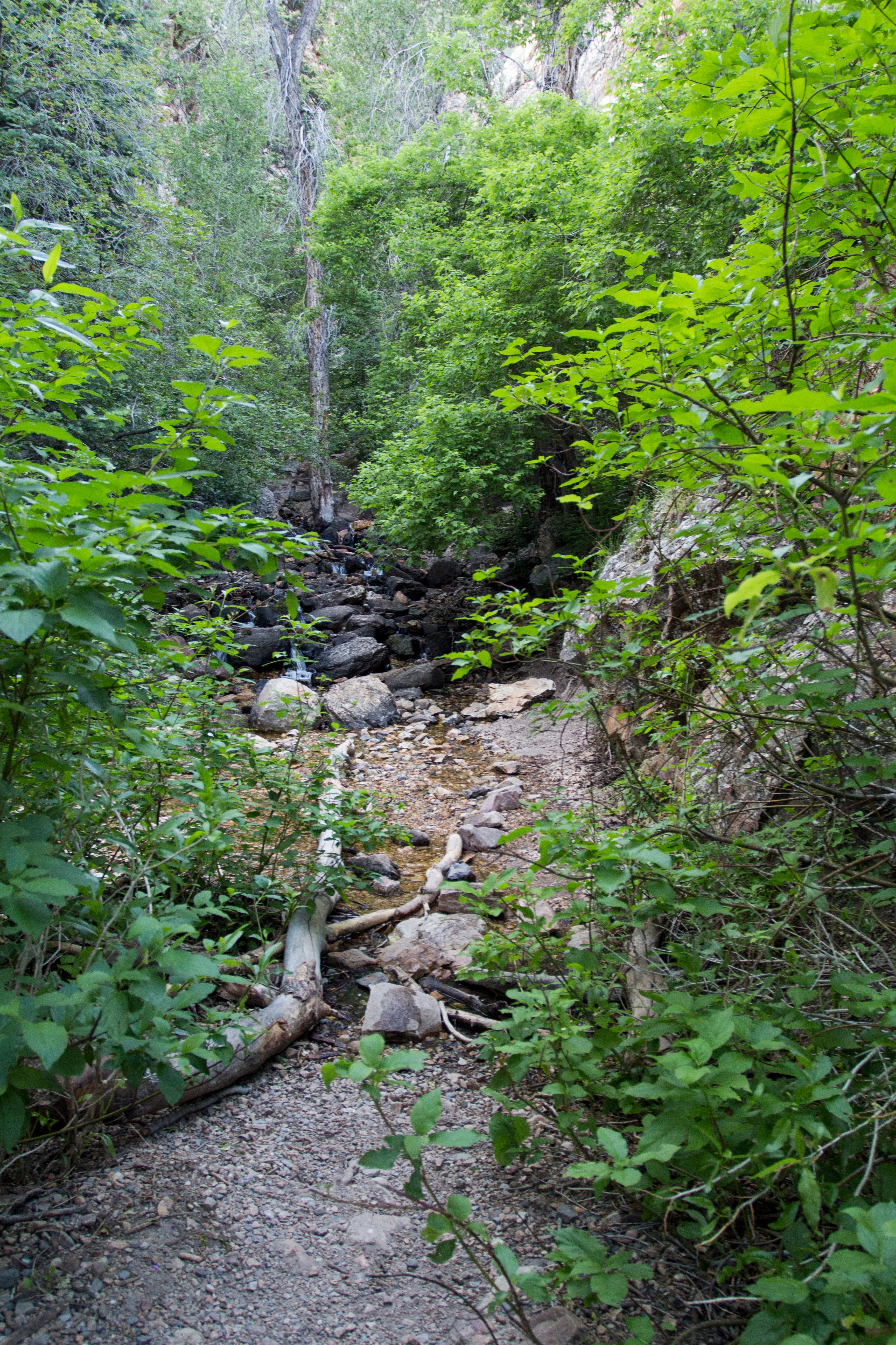 Hidden Falls