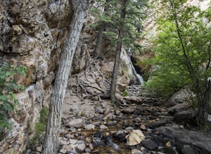 Hike to Big Cottonwood Canyon's Hidden Falls