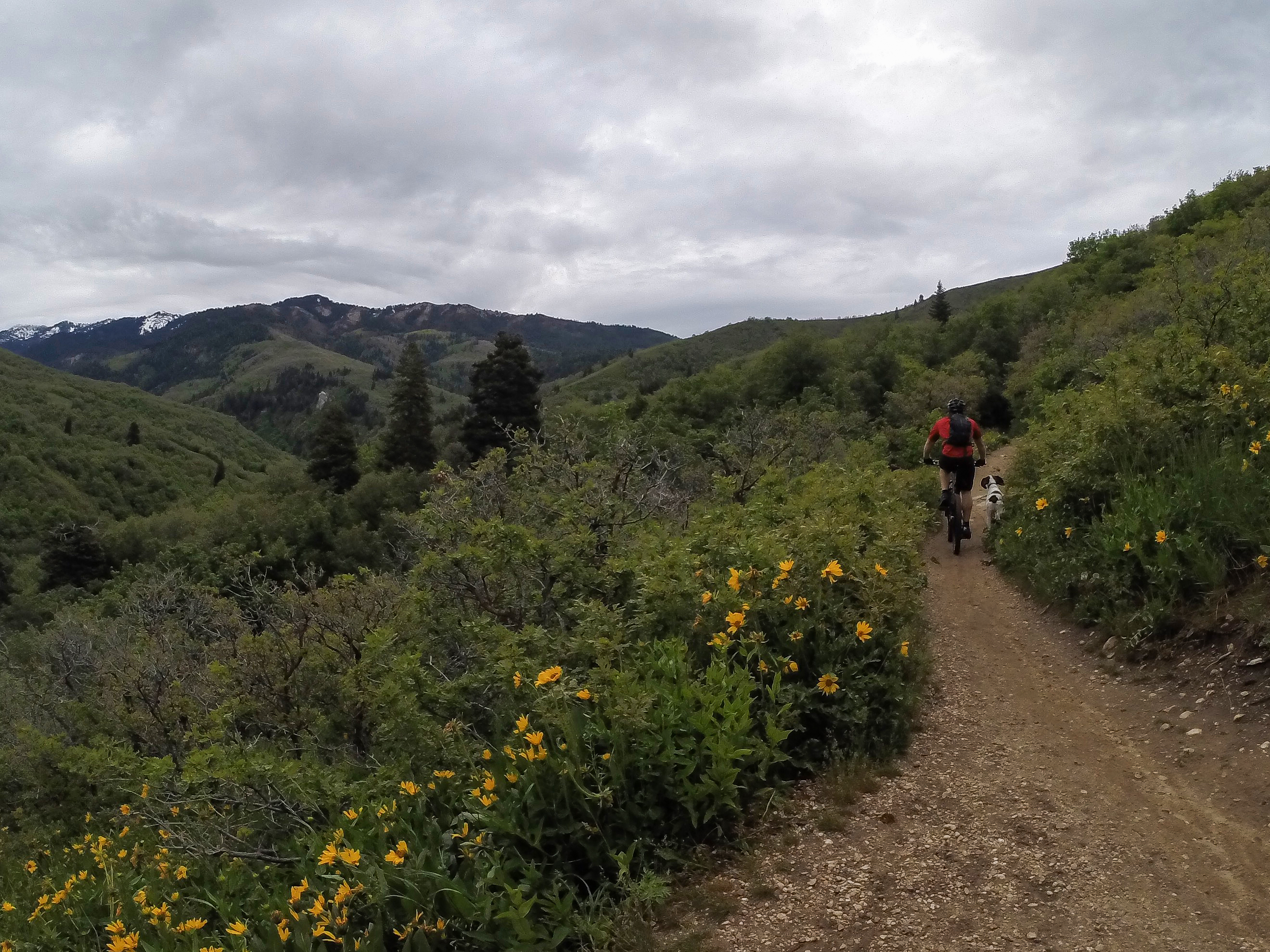 Mountain Bike to Elephant Rock