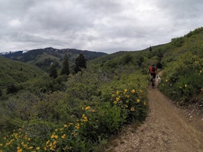 Mountain Bike to Elephant Rock