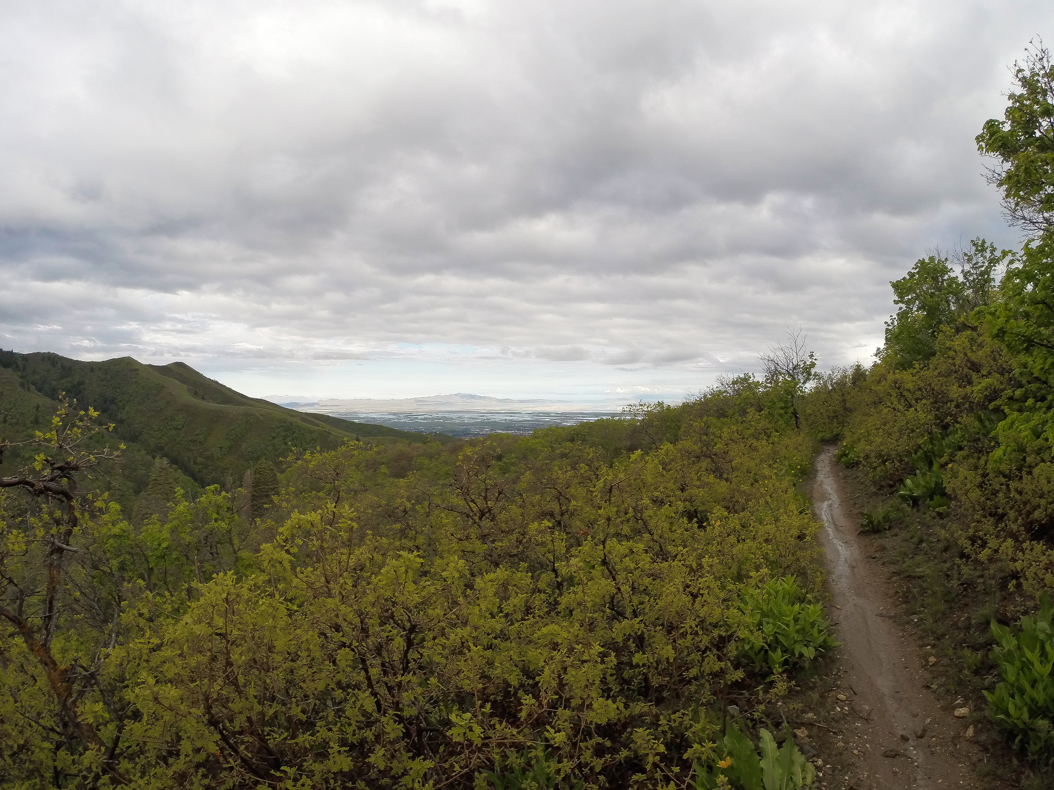 Mountain Bike to Elephant Rock