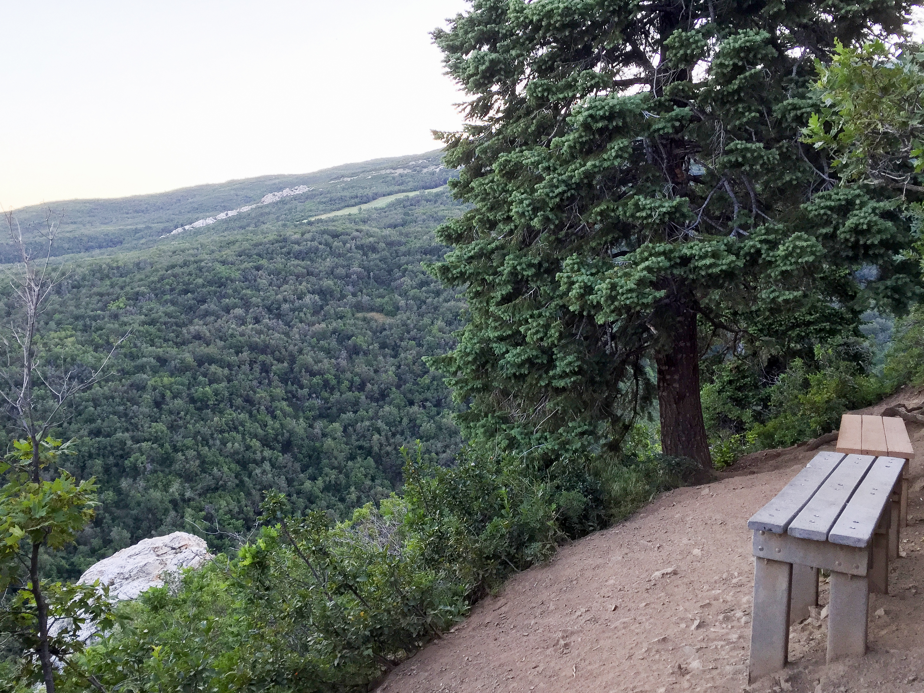 Mountain Bike to Elephant Rock