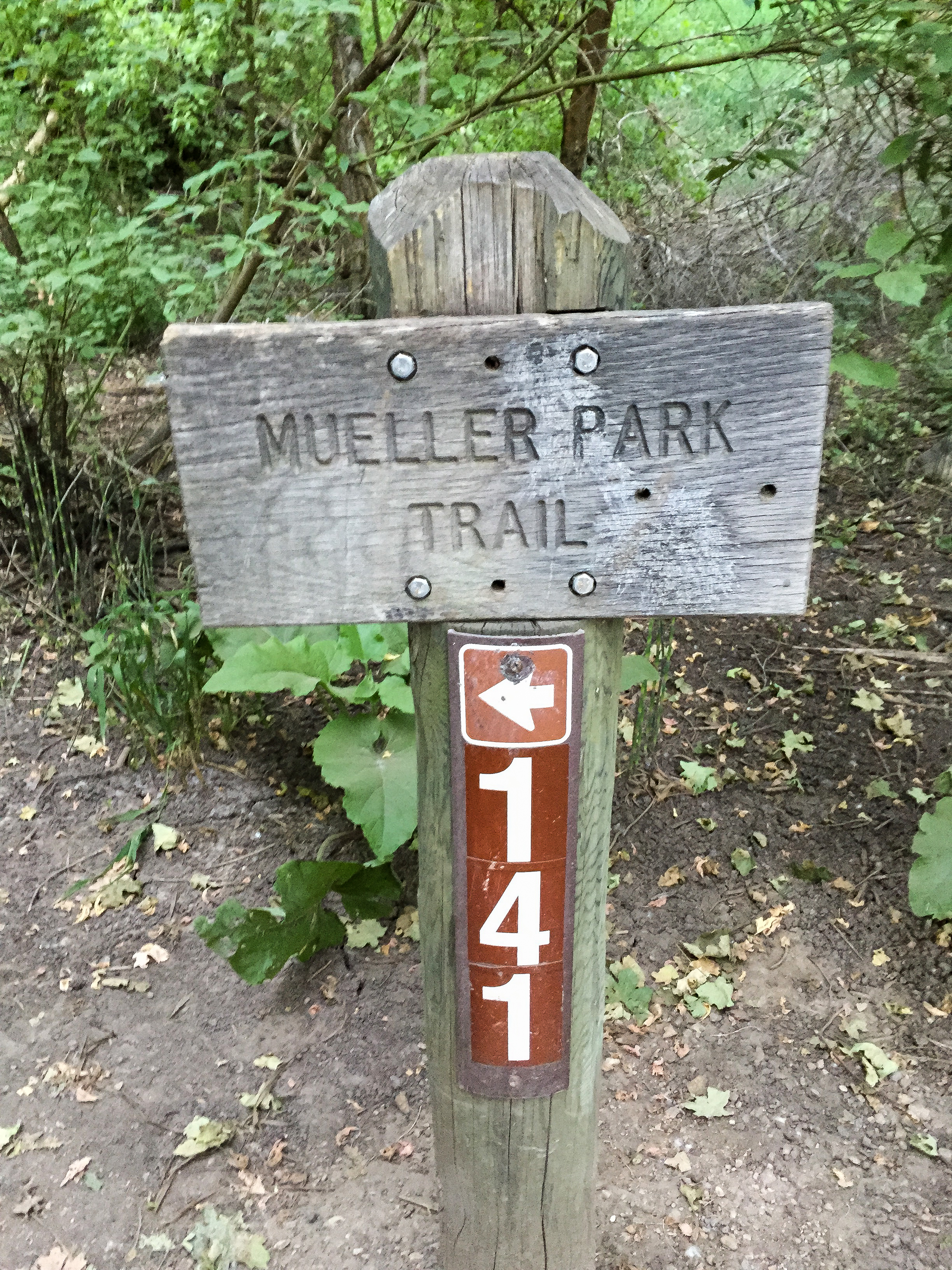 Mountain Bike to Elephant Rock