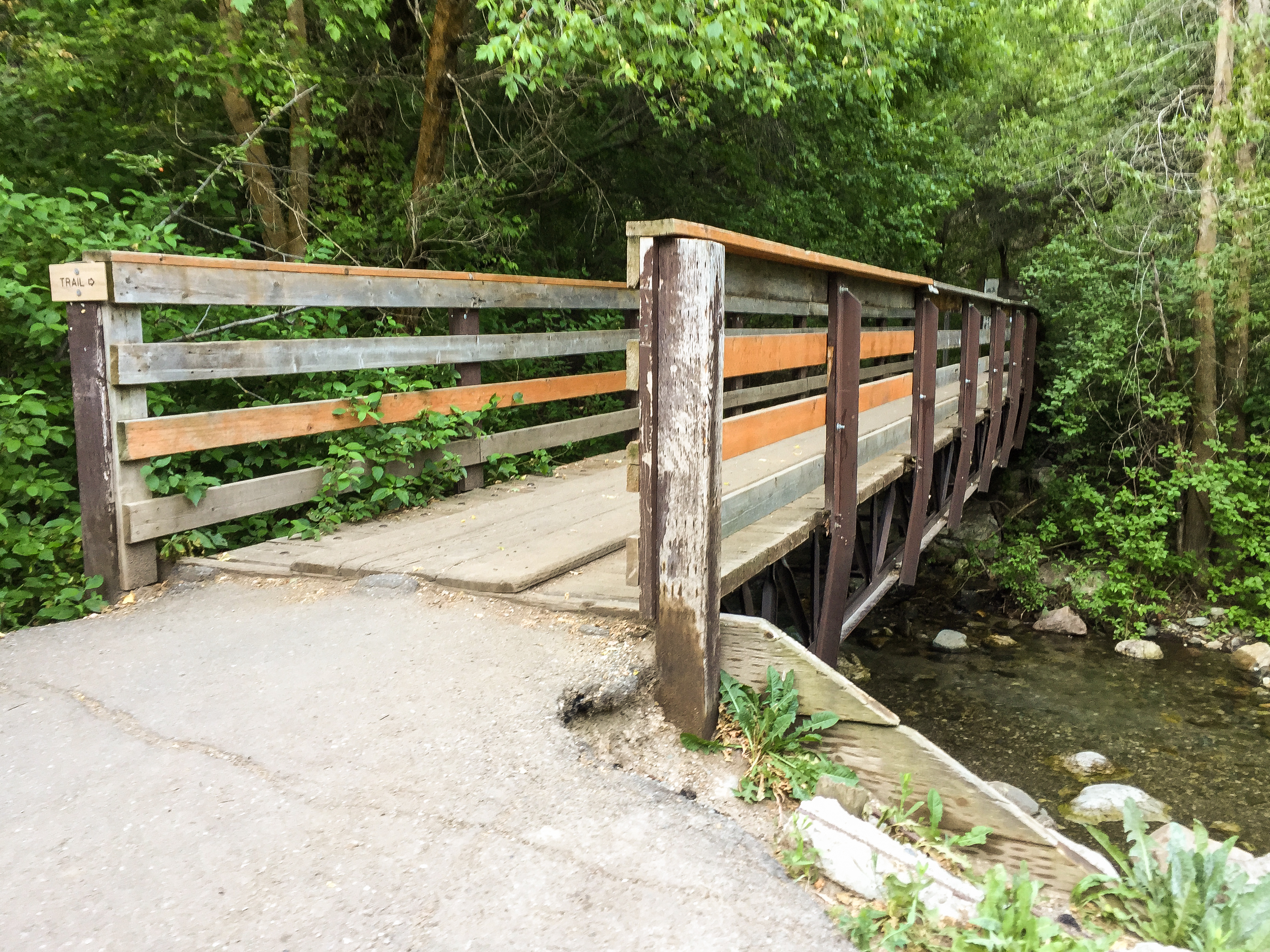 Mountain Bike to Elephant Rock
