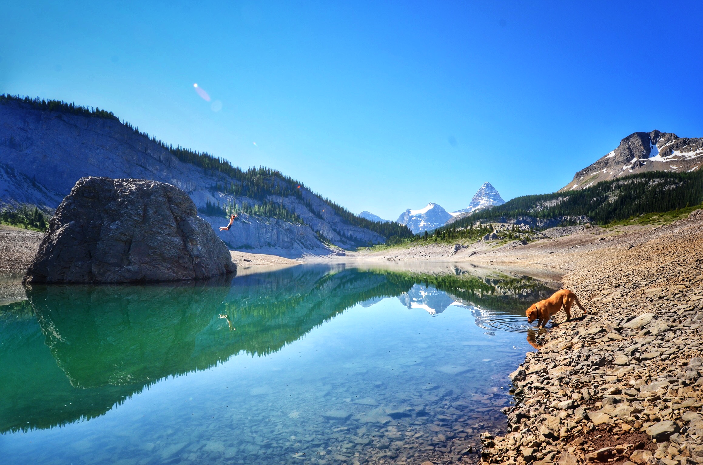 Mount Assiniboine: Sunshine Village to Mount Shark