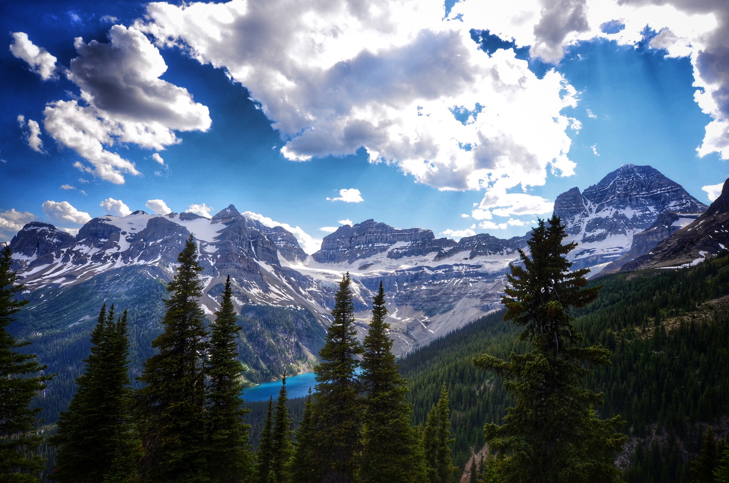 Mount Assiniboine: Sunshine Village to Mount Shark