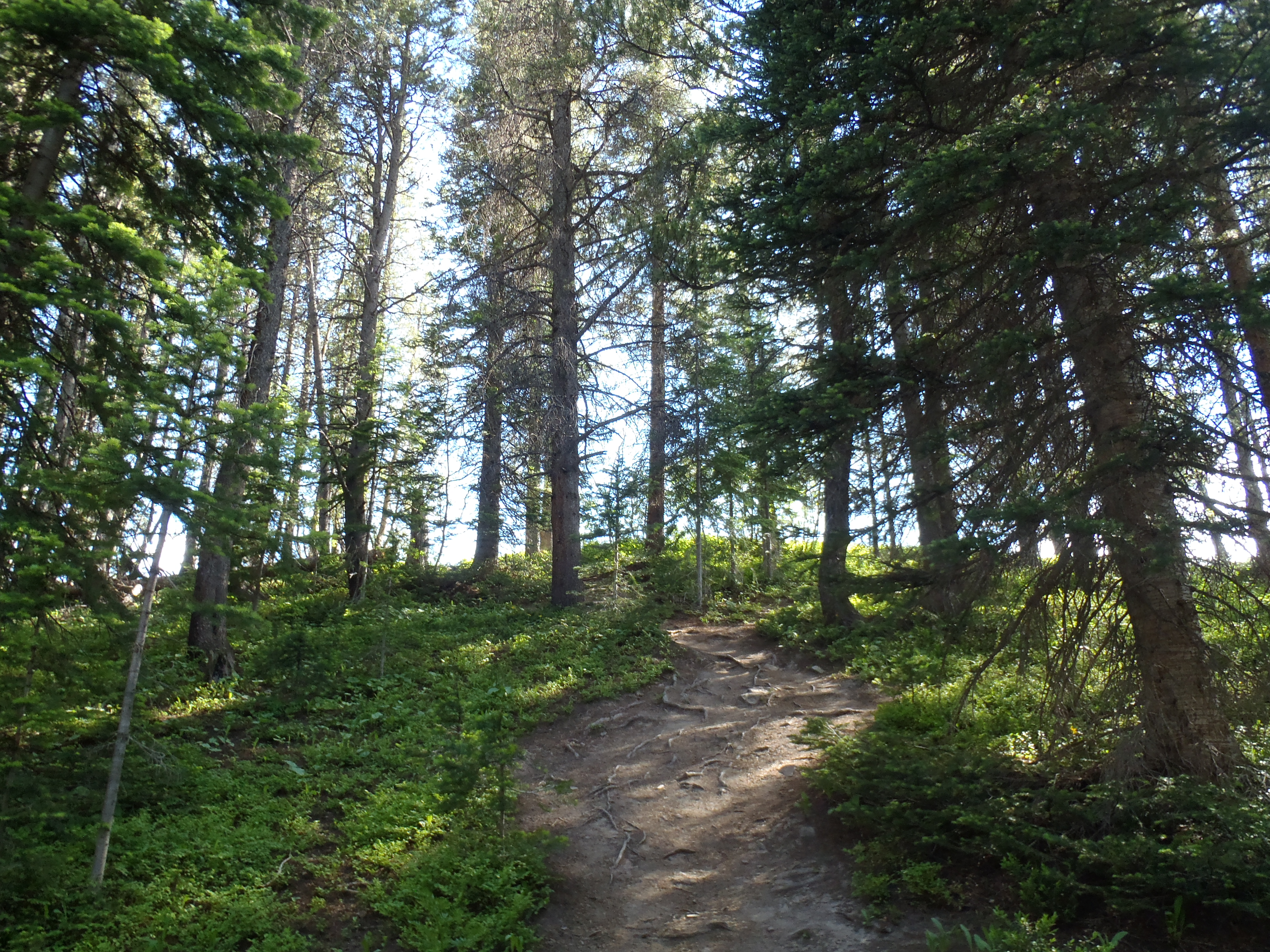 Hike to Meridian Lake 
