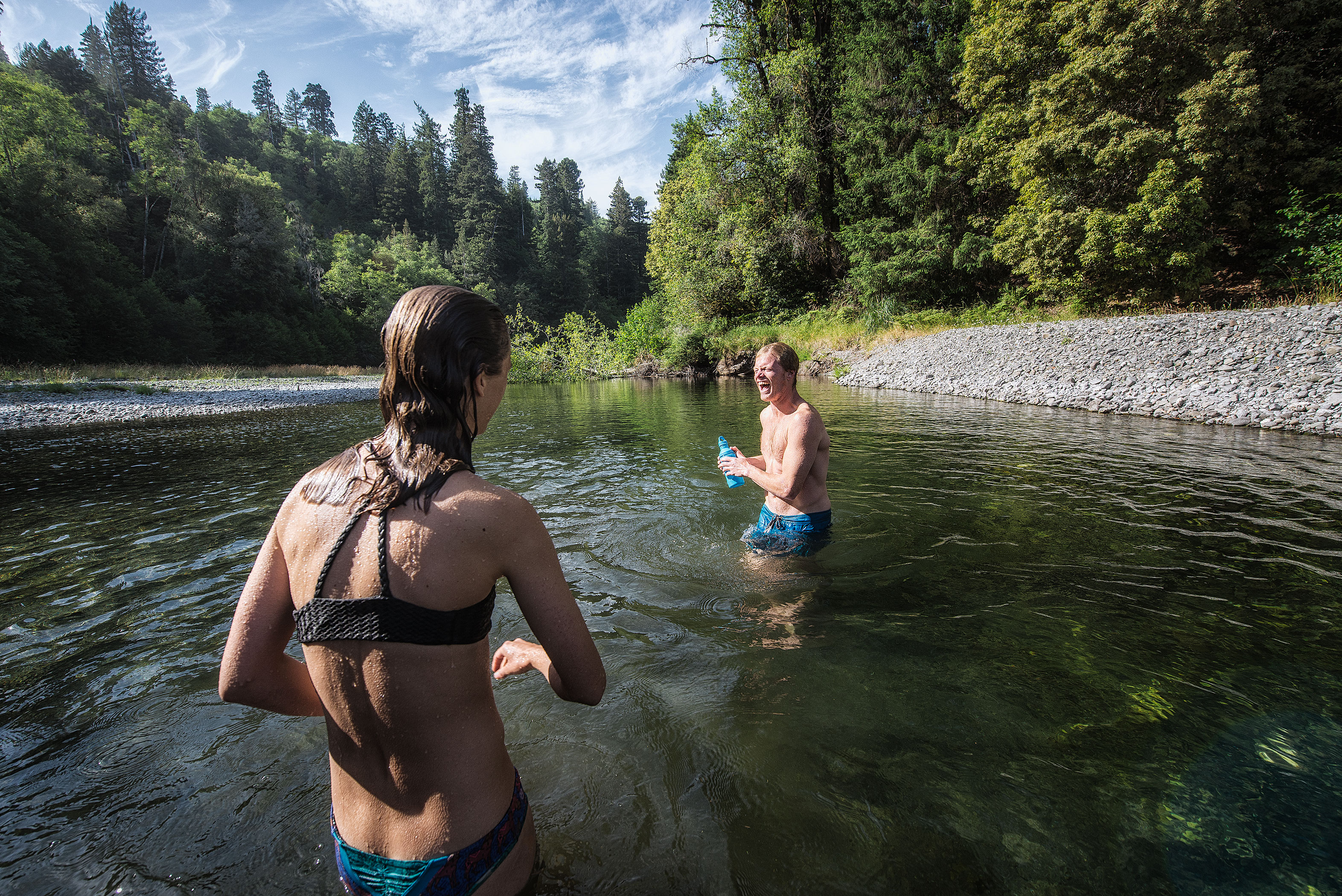 Tall Trees Grove, Redwood Creek, Emerald Ridge Loop