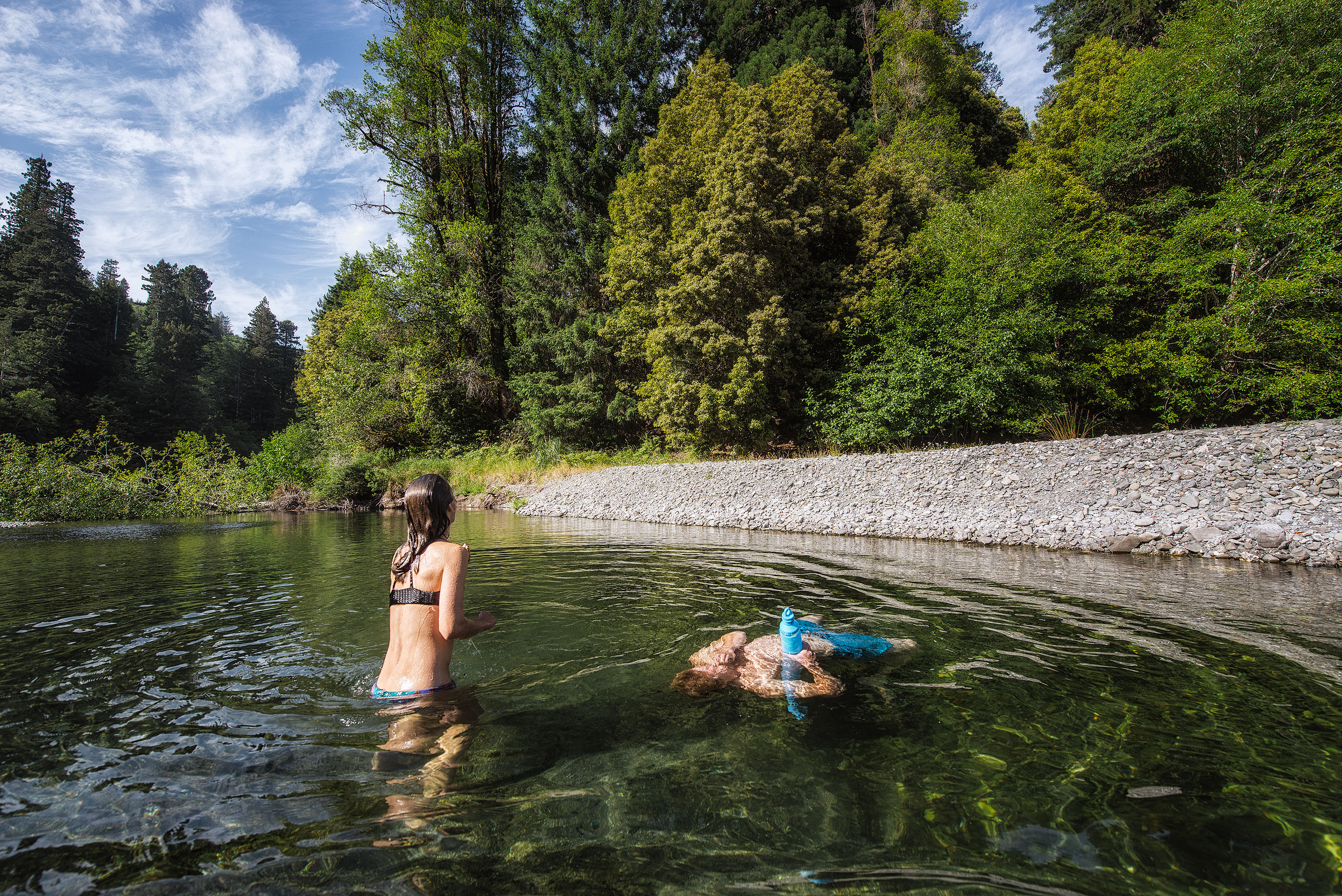 Tall Trees Grove, Redwood Creek, Emerald Ridge Loop