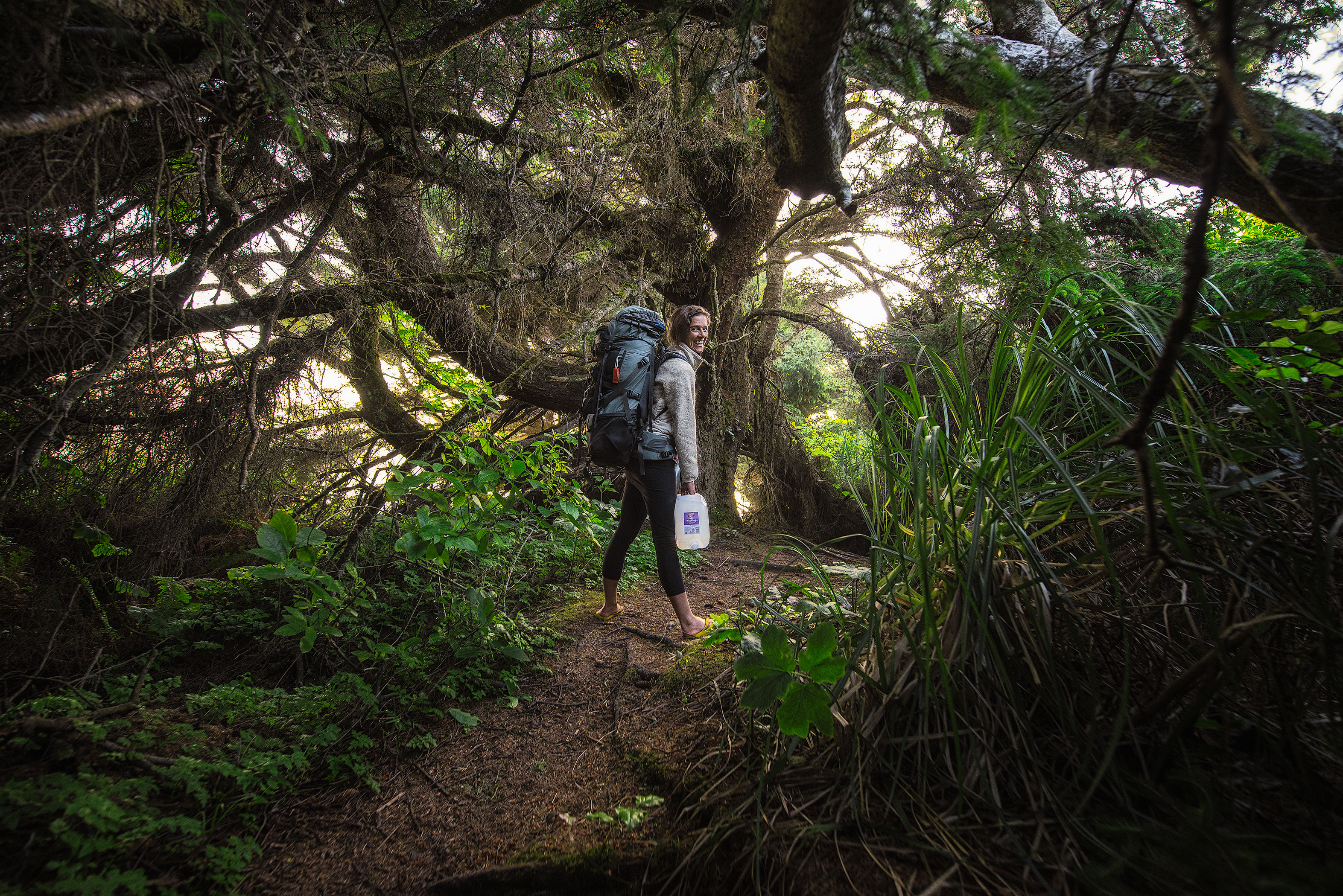 Tall Trees Grove, Redwood Creek, Emerald Ridge Loop