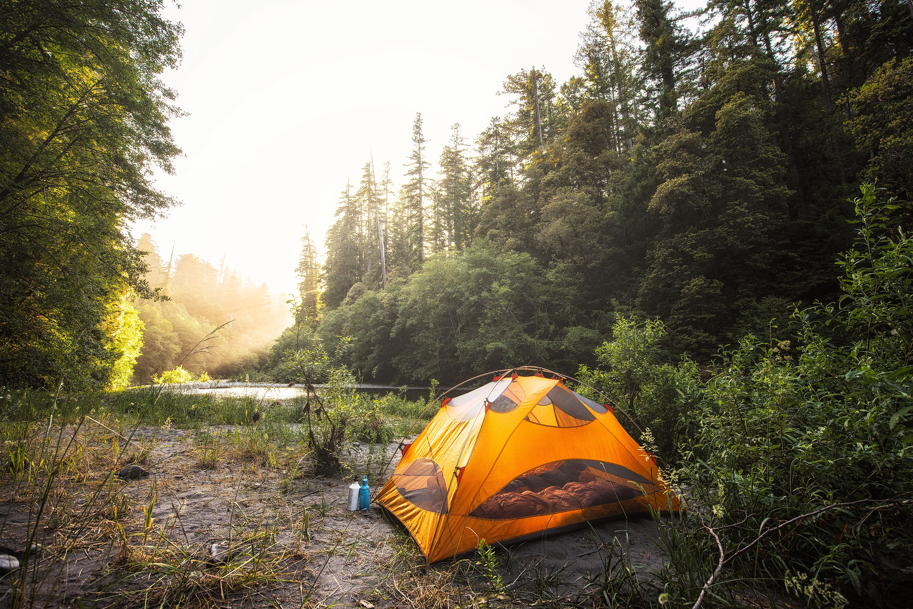 Tall Trees Grove, Redwood Creek, Emerald Ridge Loop