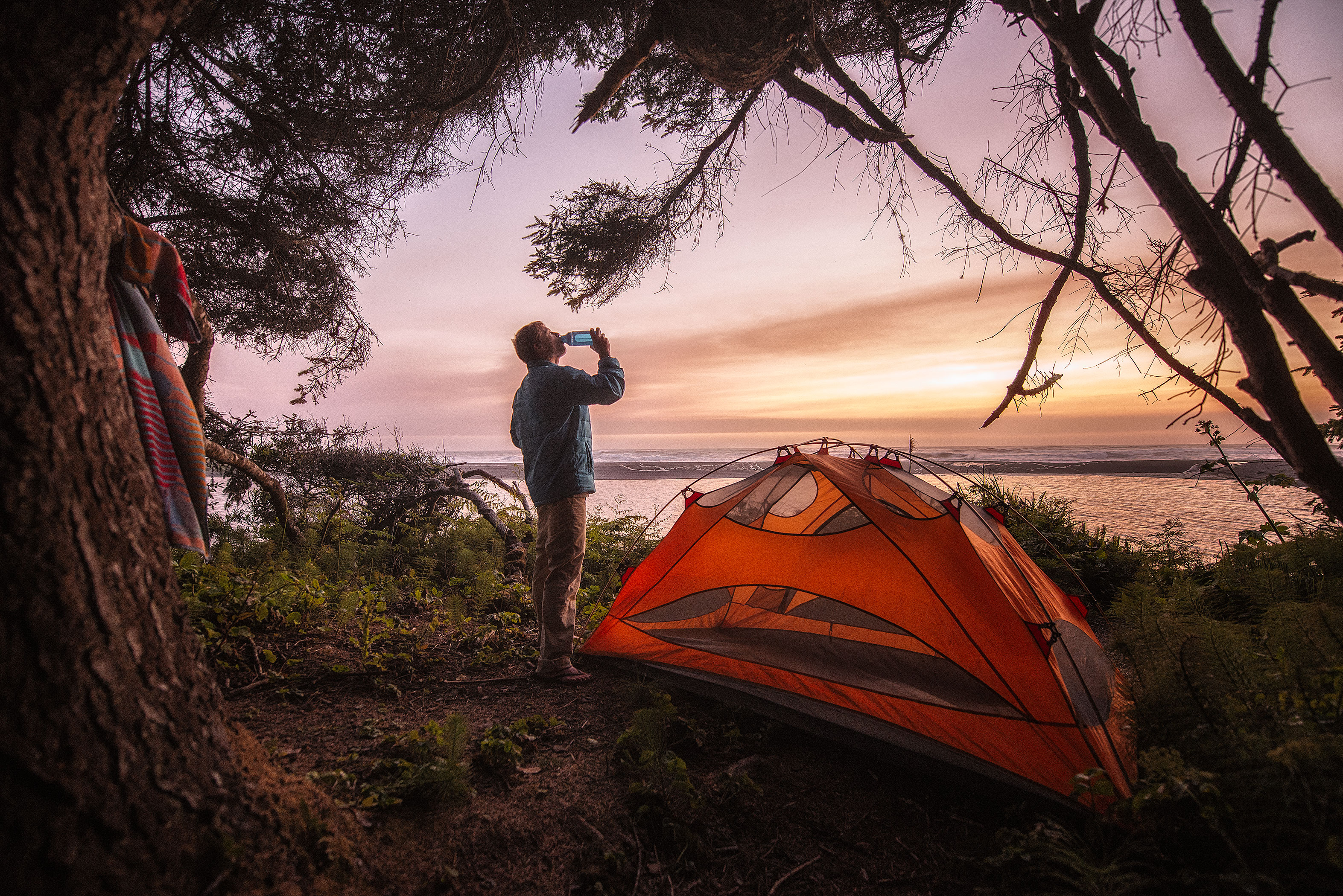 Tall Trees Grove, Redwood Creek, Emerald Ridge Loop