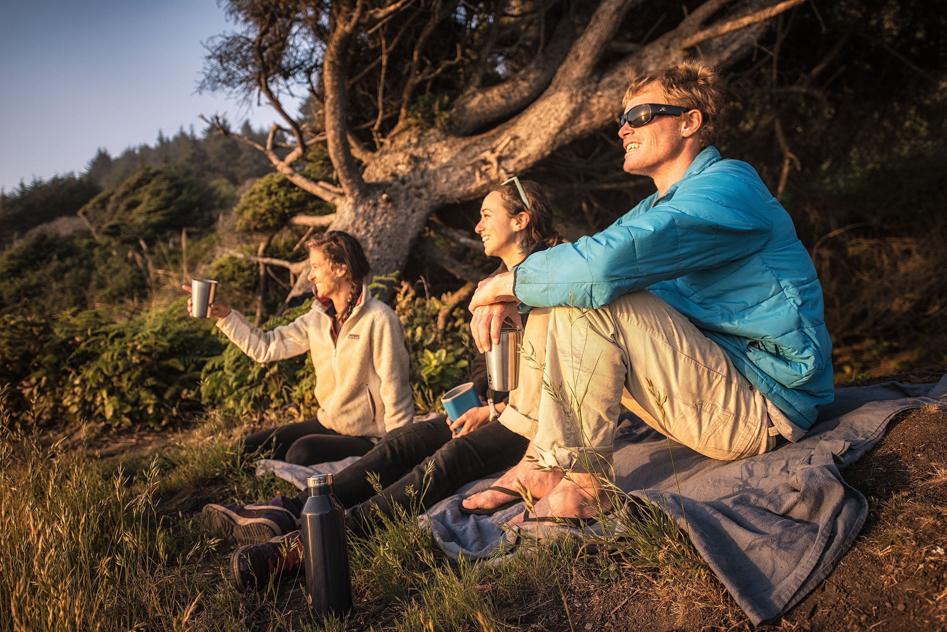 Tall Trees Grove, Redwood Creek, Emerald Ridge Loop