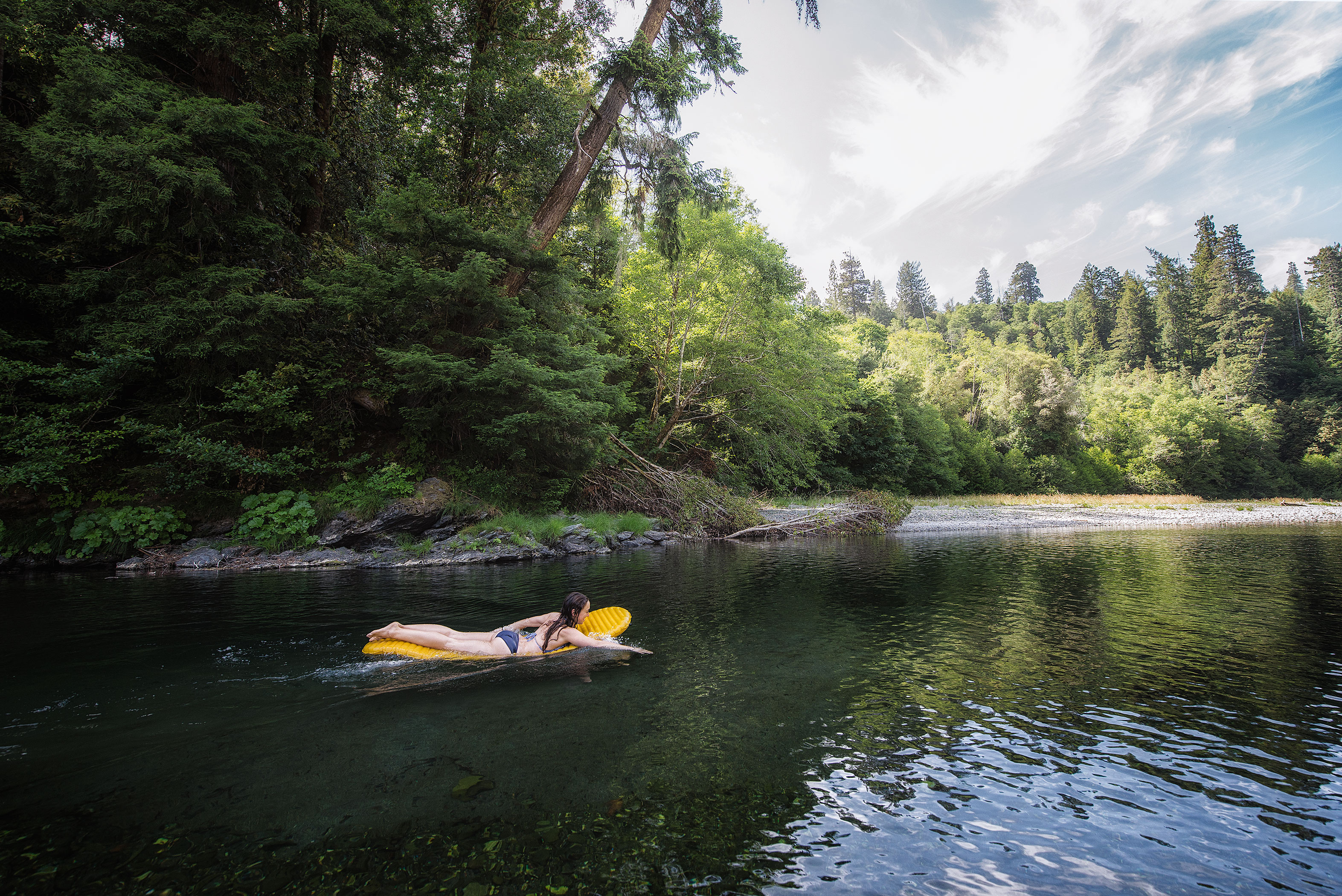 Tall Trees Grove, Redwood Creek, Emerald Ridge Loop