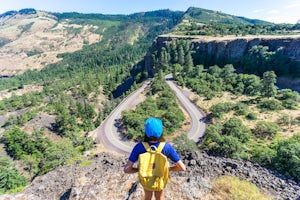 Drive to the Rowena Crest Viewpoint