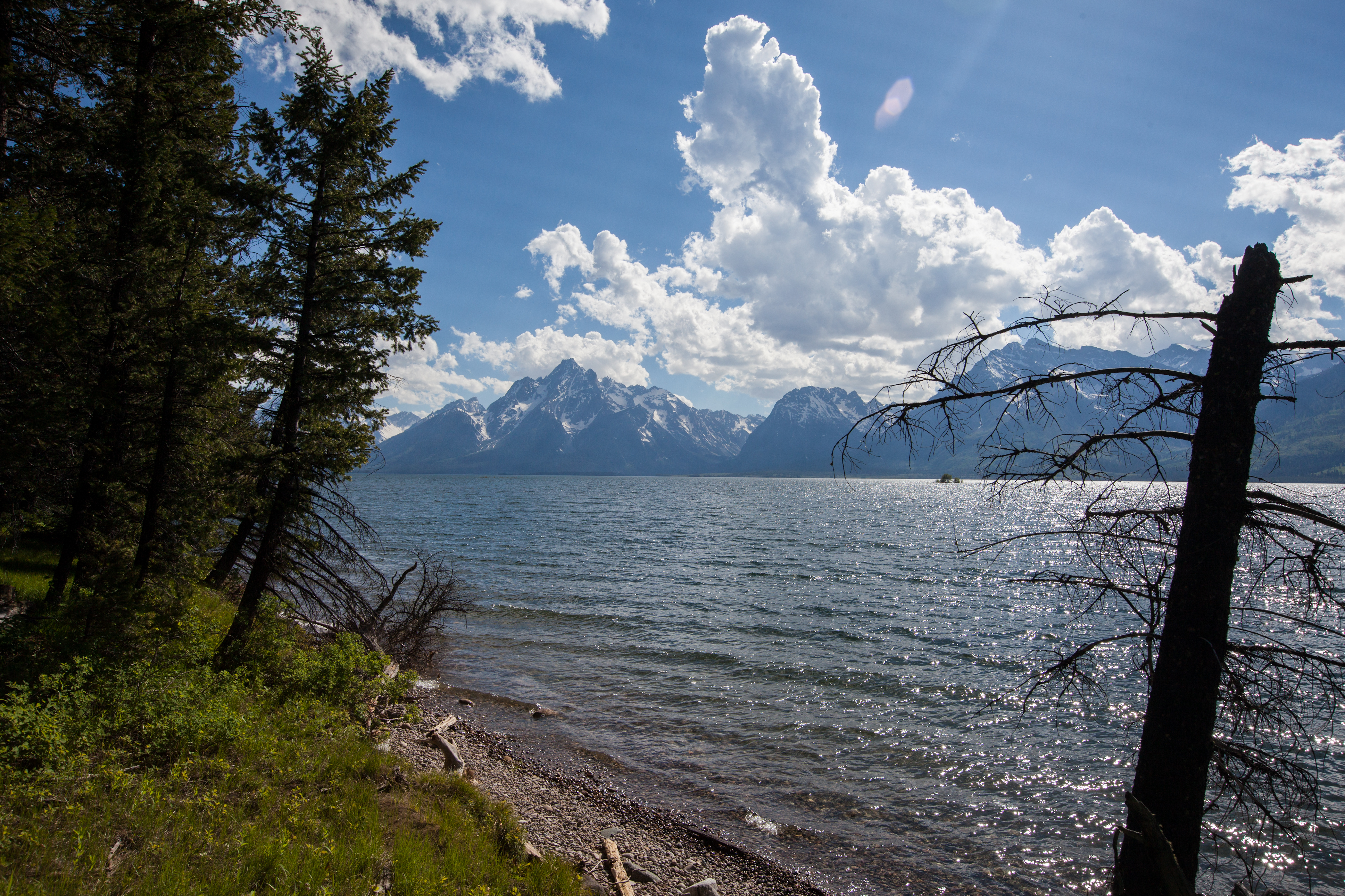 Camp at Colter Bay Campground