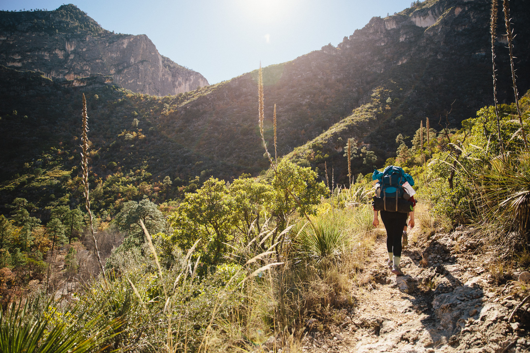 McKittrick Canyon Trail to McKittrick Ridge Campground