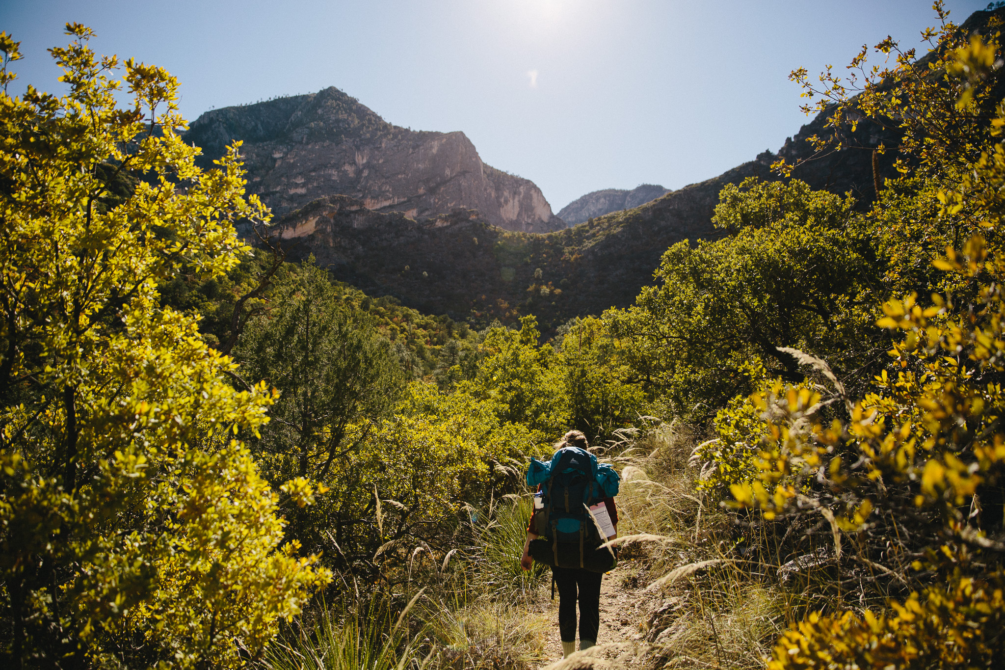 McKittrick Canyon Trail to McKittrick Ridge Campground