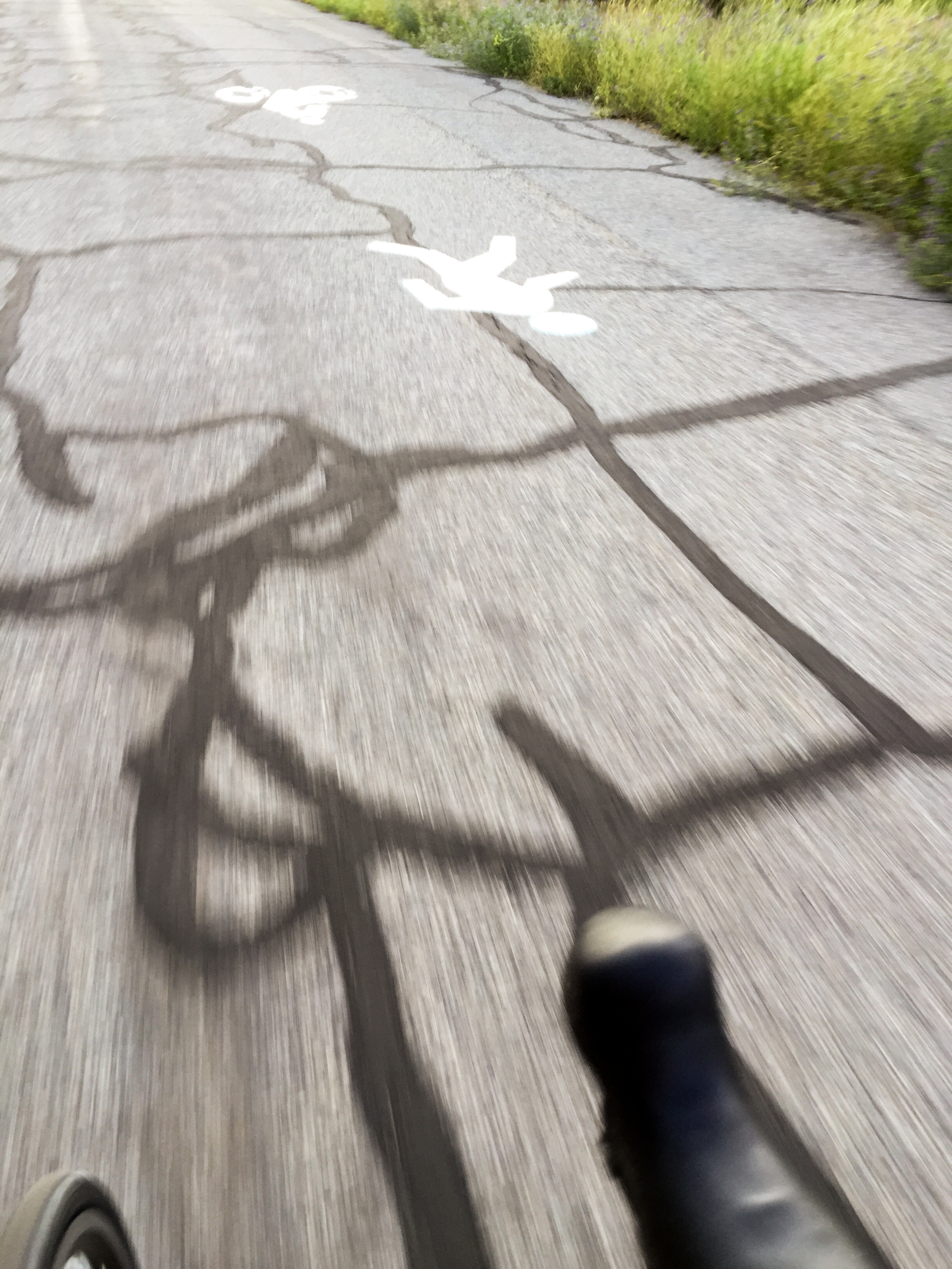 Cycle City Creek Canyon