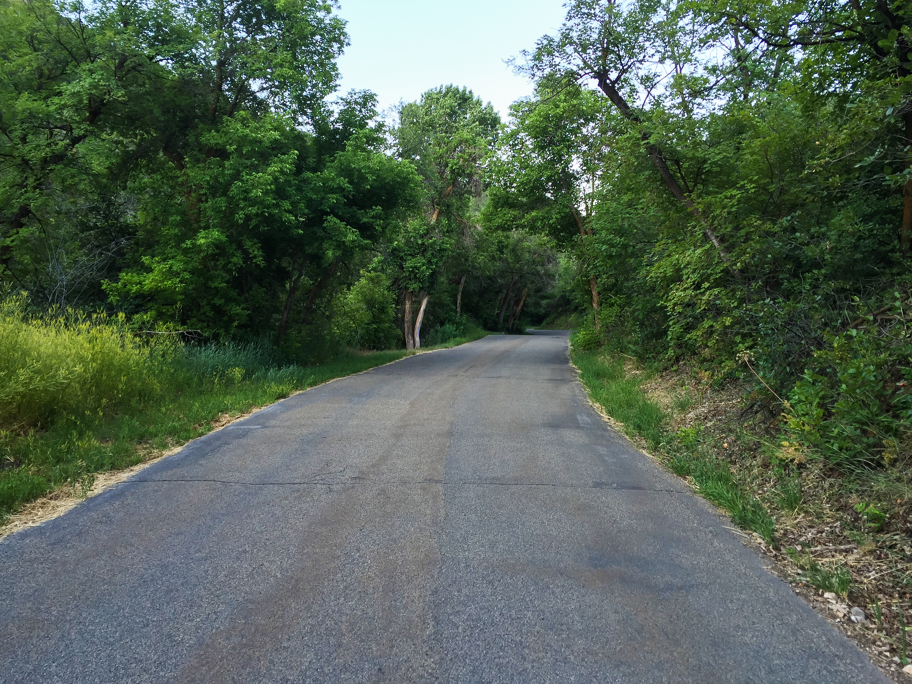 Cycle City Creek Canyon