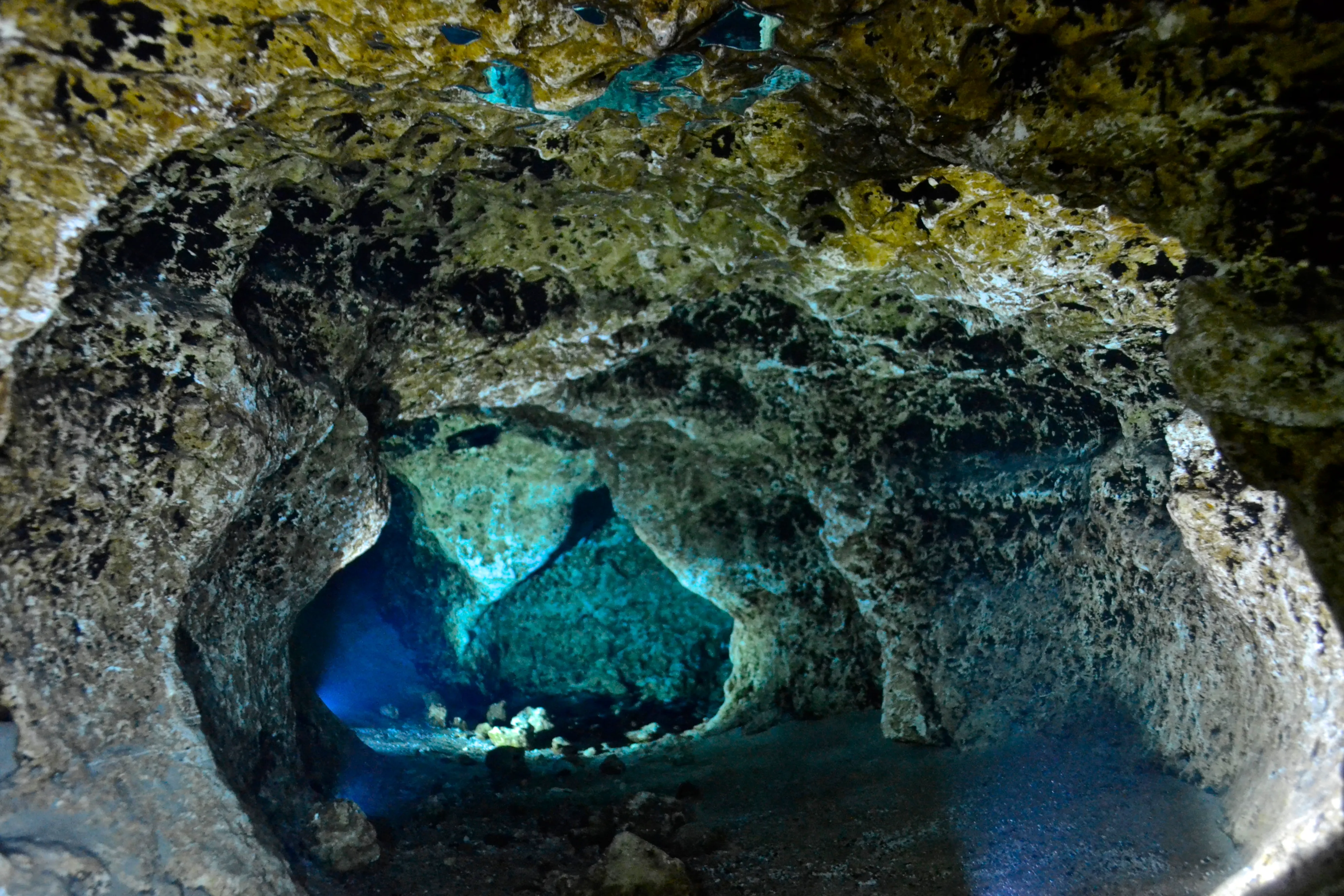 Dive Devil's Spring System: Eye and Ear